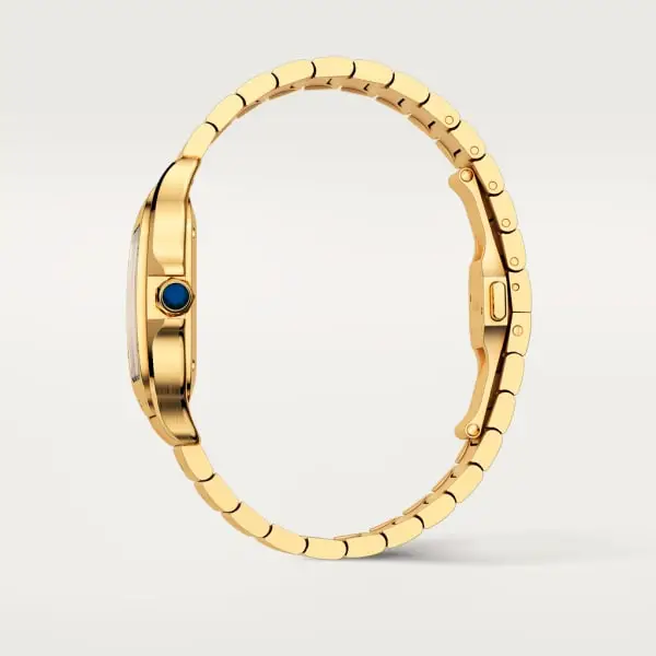 CARTIER santos 18kt Yellow Gold Men's WatchItem -WGSA0007(AAAAA)