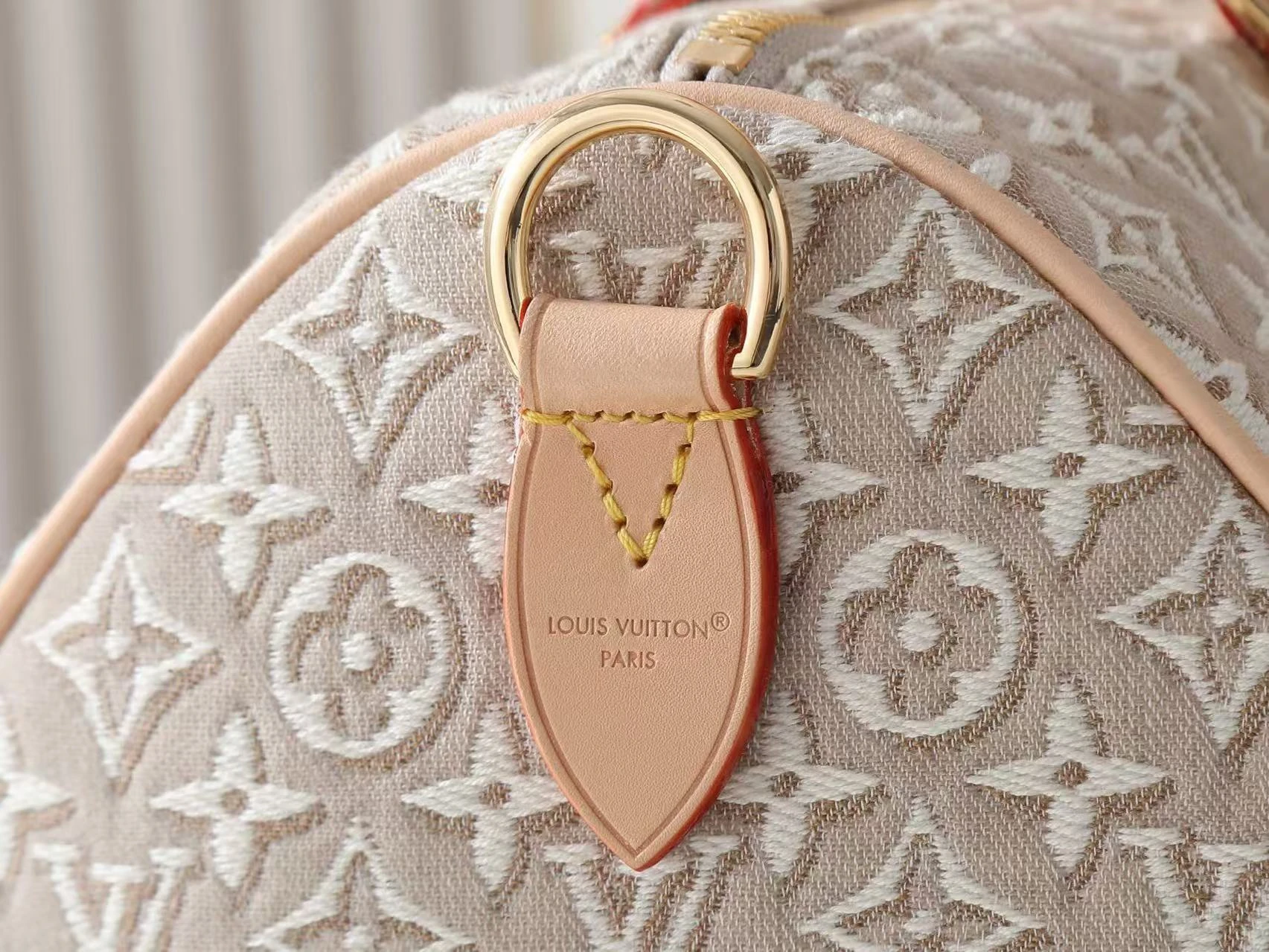 LV Jaquard Handbag