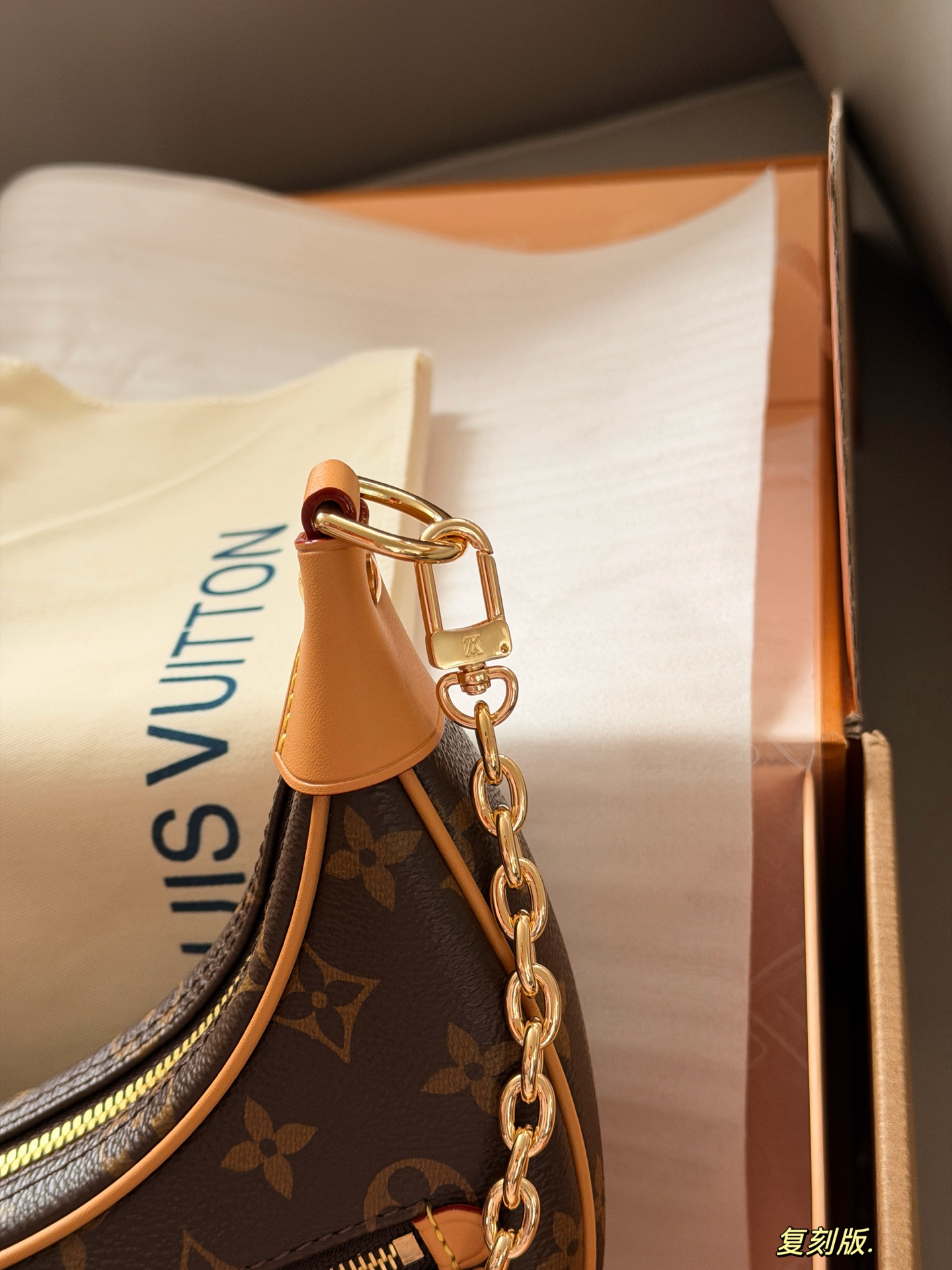 LV Loop Bag