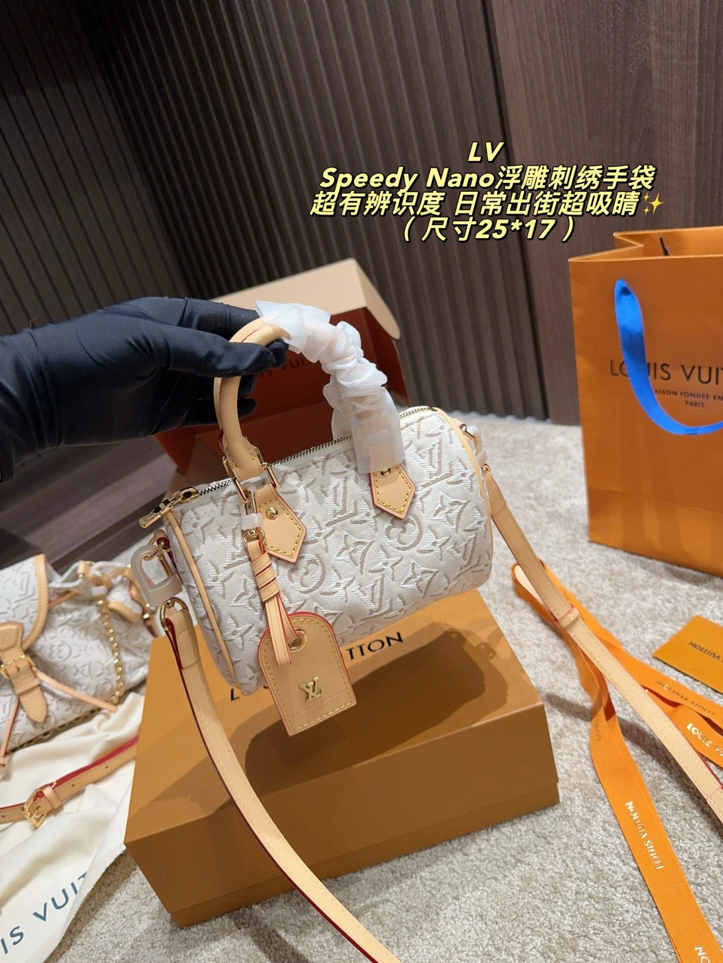 Louis Vuitton Speedy Nano