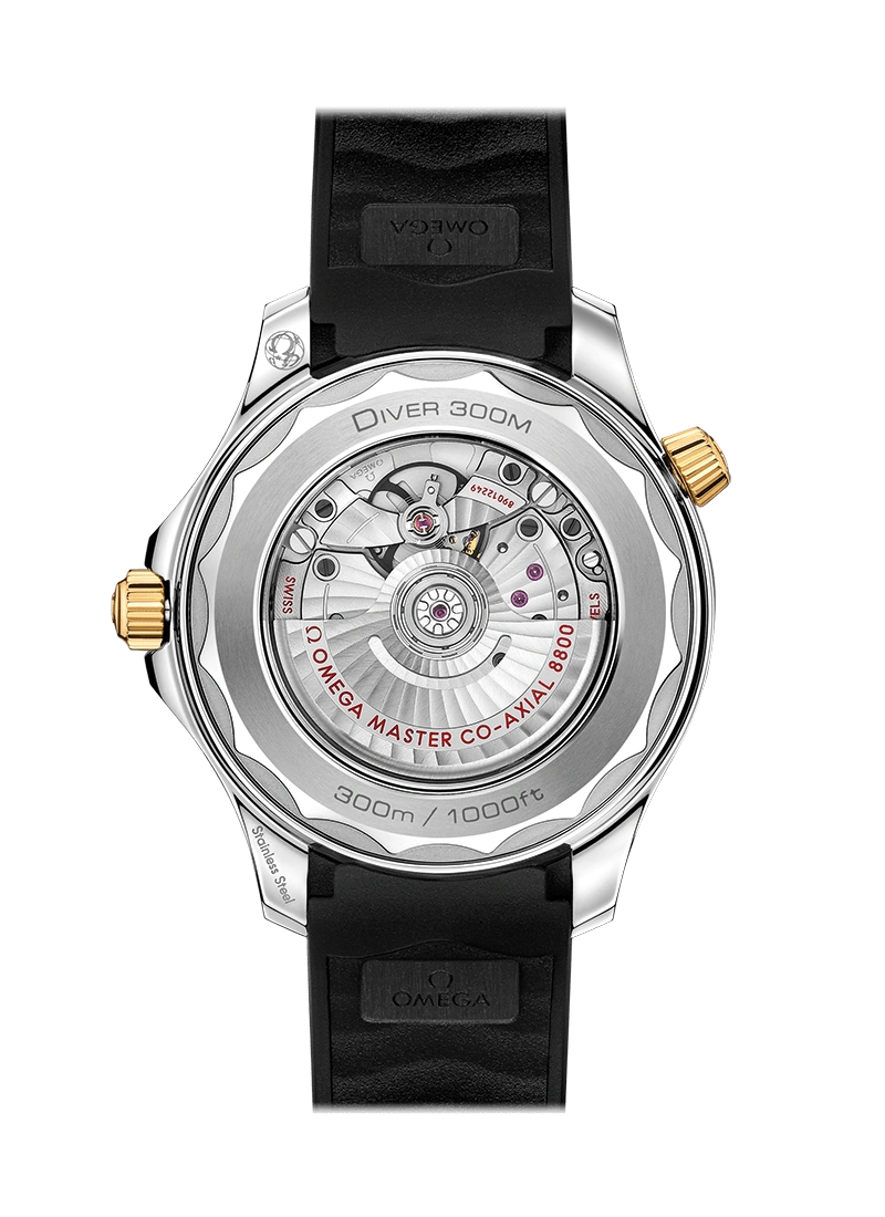 DIVER 300M CO‑AXIAL MASTER CHRONOMETER 42 MM-210.22.42.20.01.001