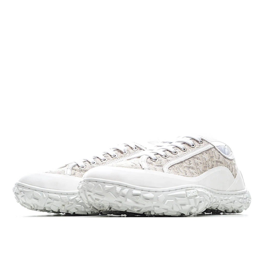 Dior B28 Oblique High Top Sneakers