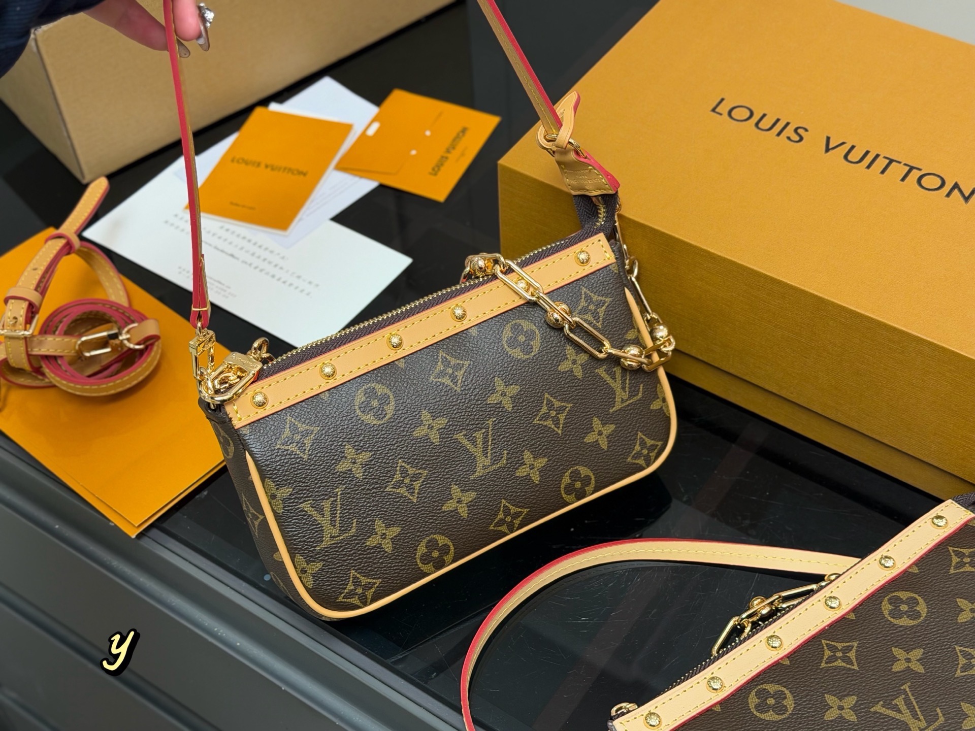 LV Hobo Bag