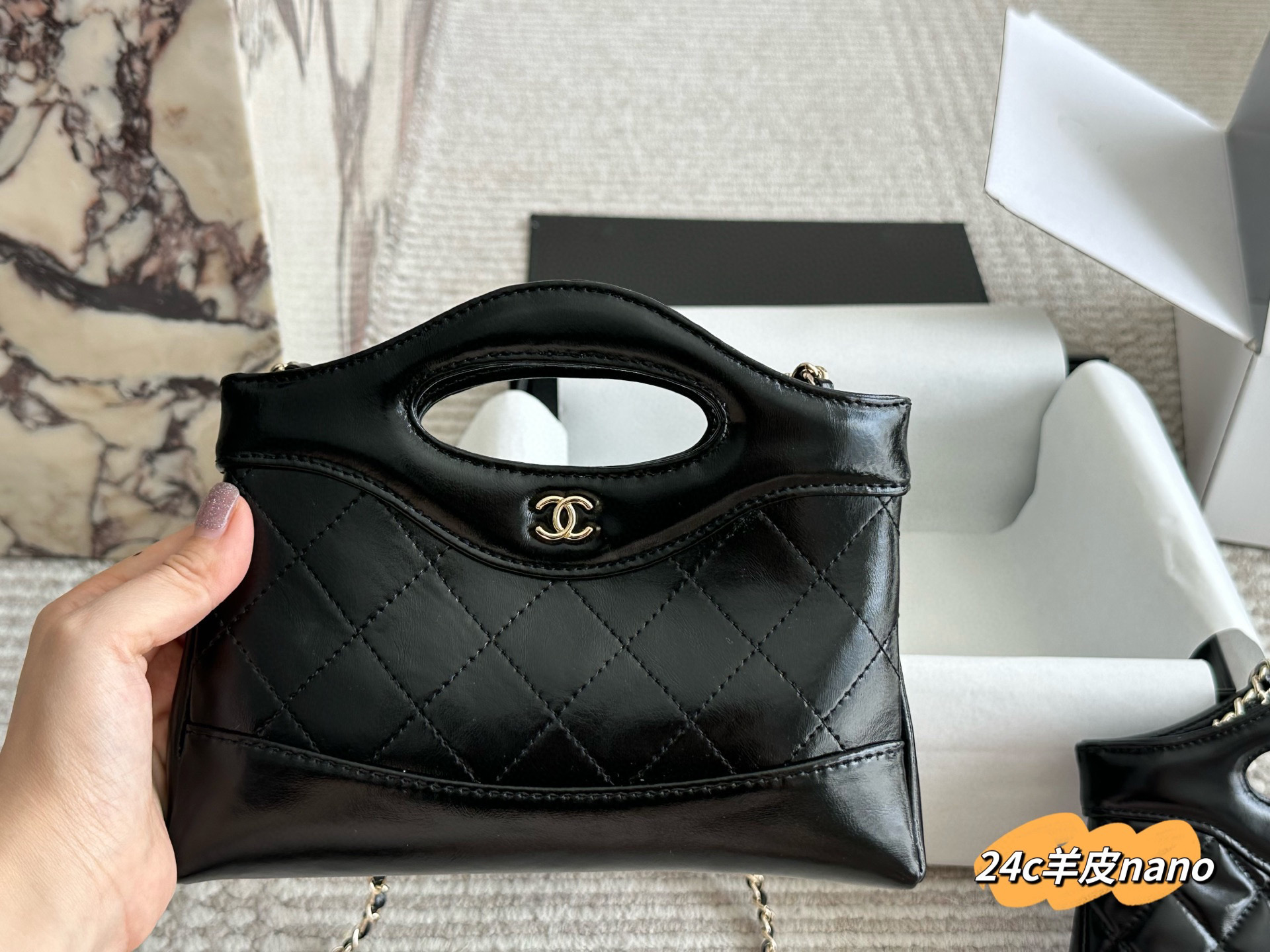 Chanel Nano 31bag