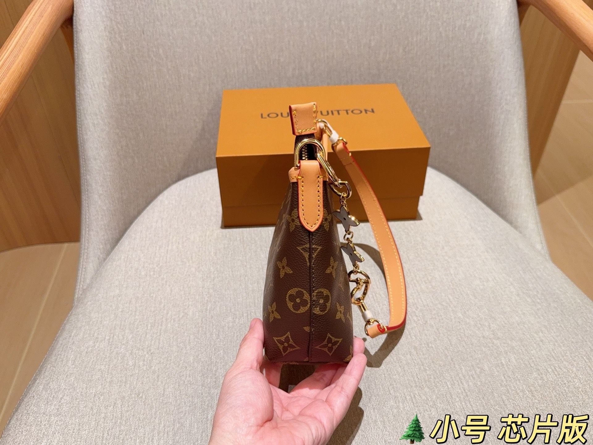 LV Hobo Bag