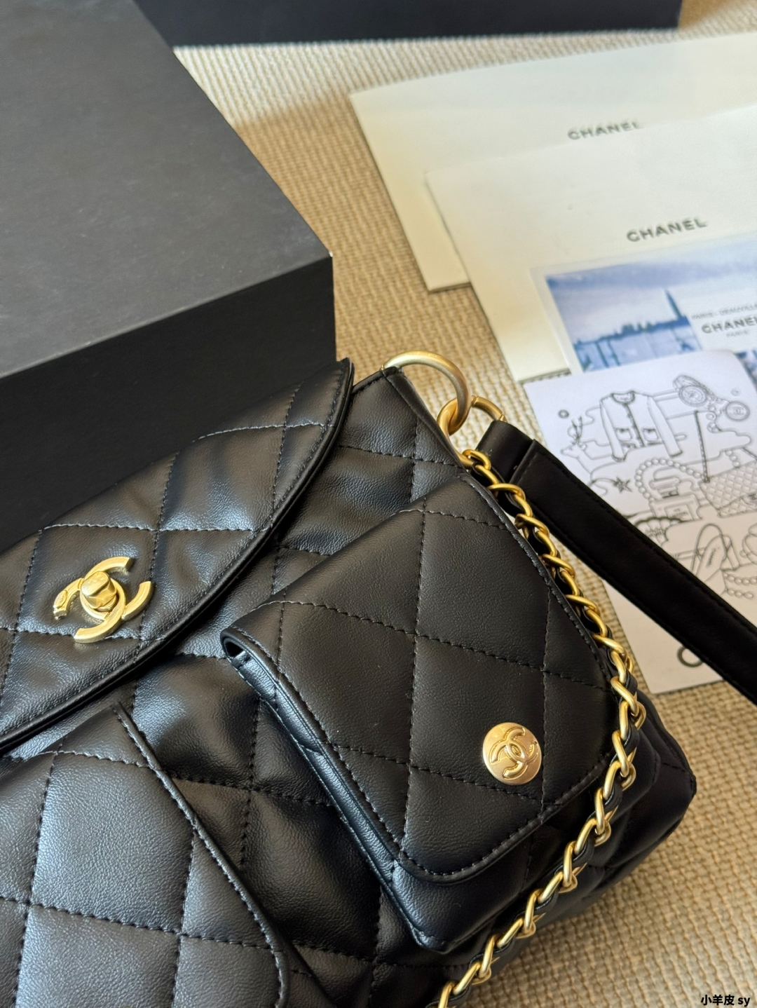 Chanel 24P Supple Twins Handbag