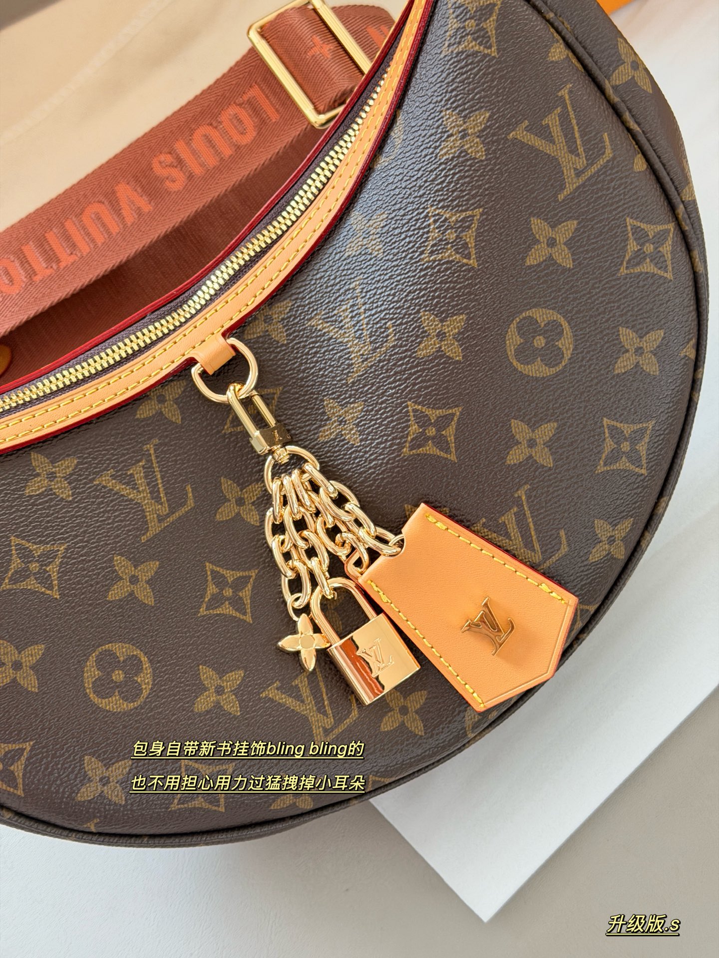 LV Loop Bag