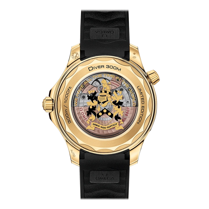DIVER 300M CO‑AXIAL MASTER CHRONOMETER 42 MM