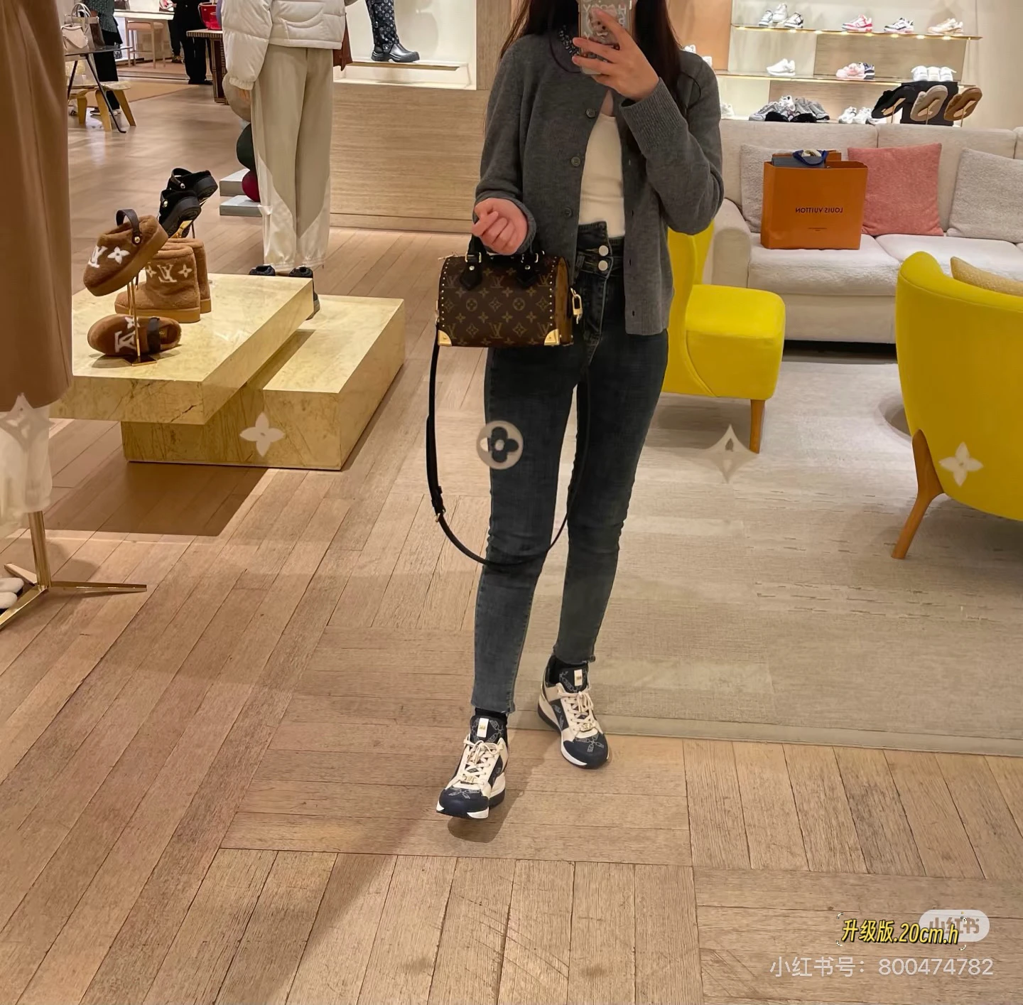 Louis Vuitton Speedy trunk20