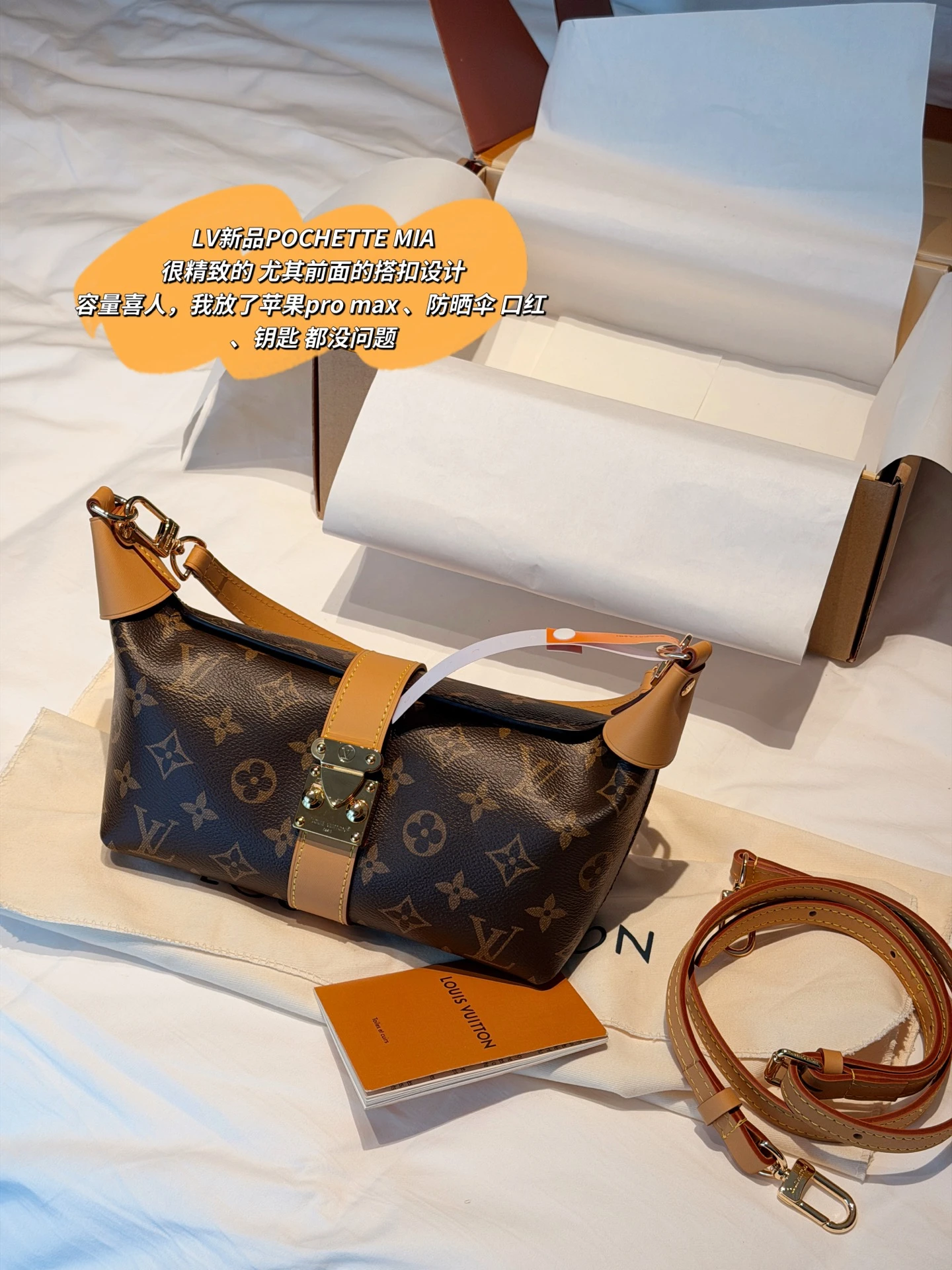 Louis Vuitton Pochette MIA