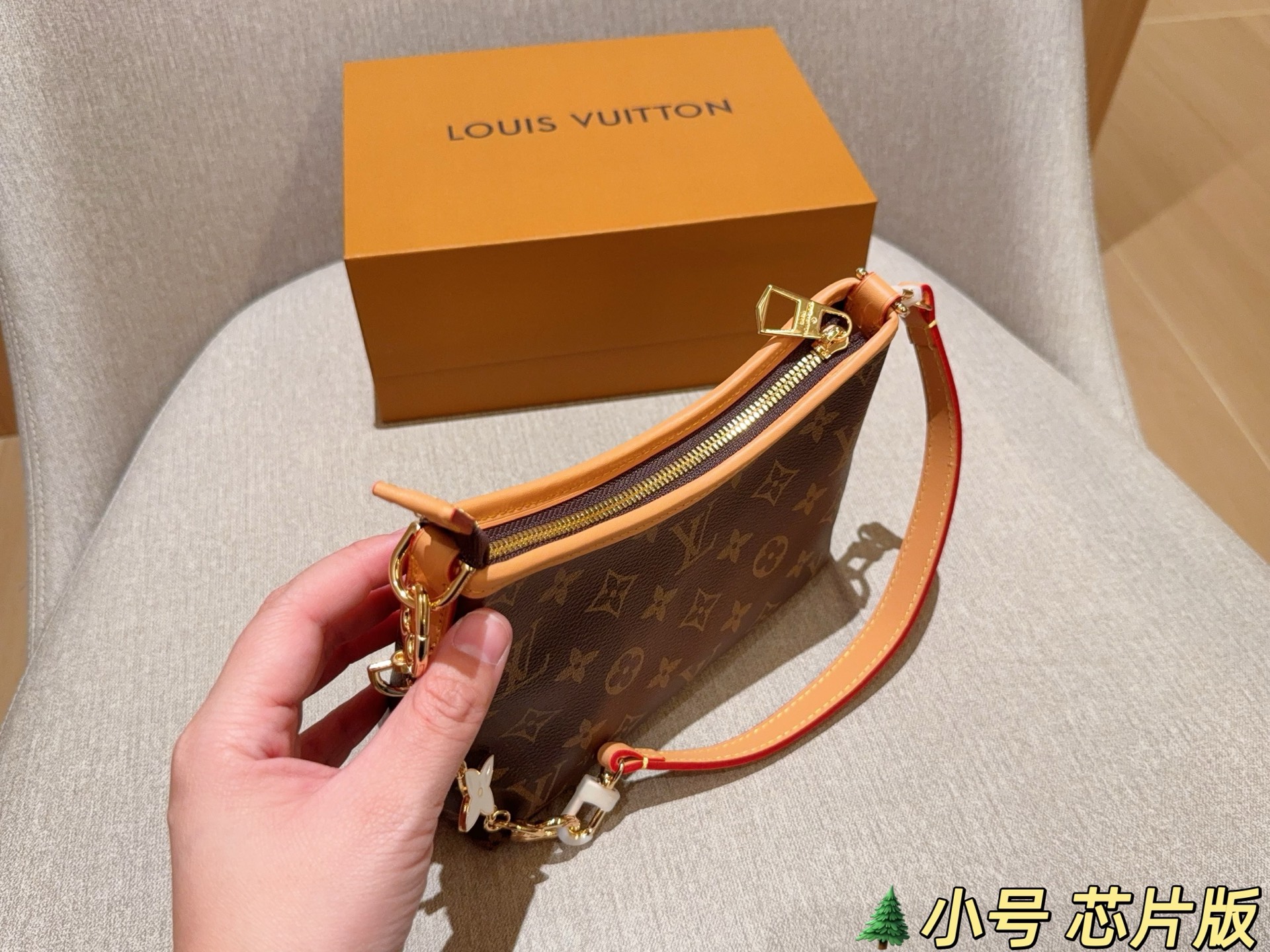 LV Hobo Bag
