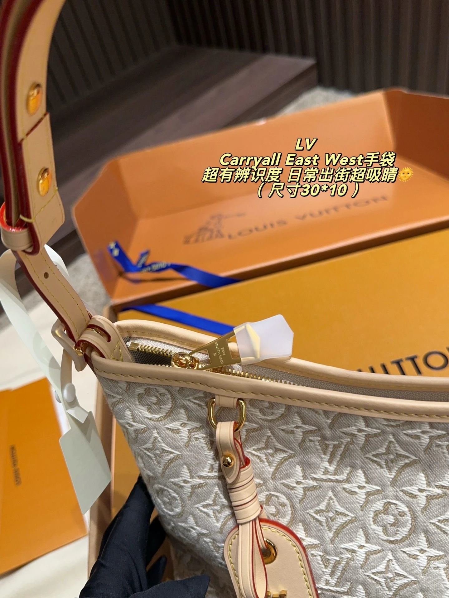 Louis Vuitton Carryall East West