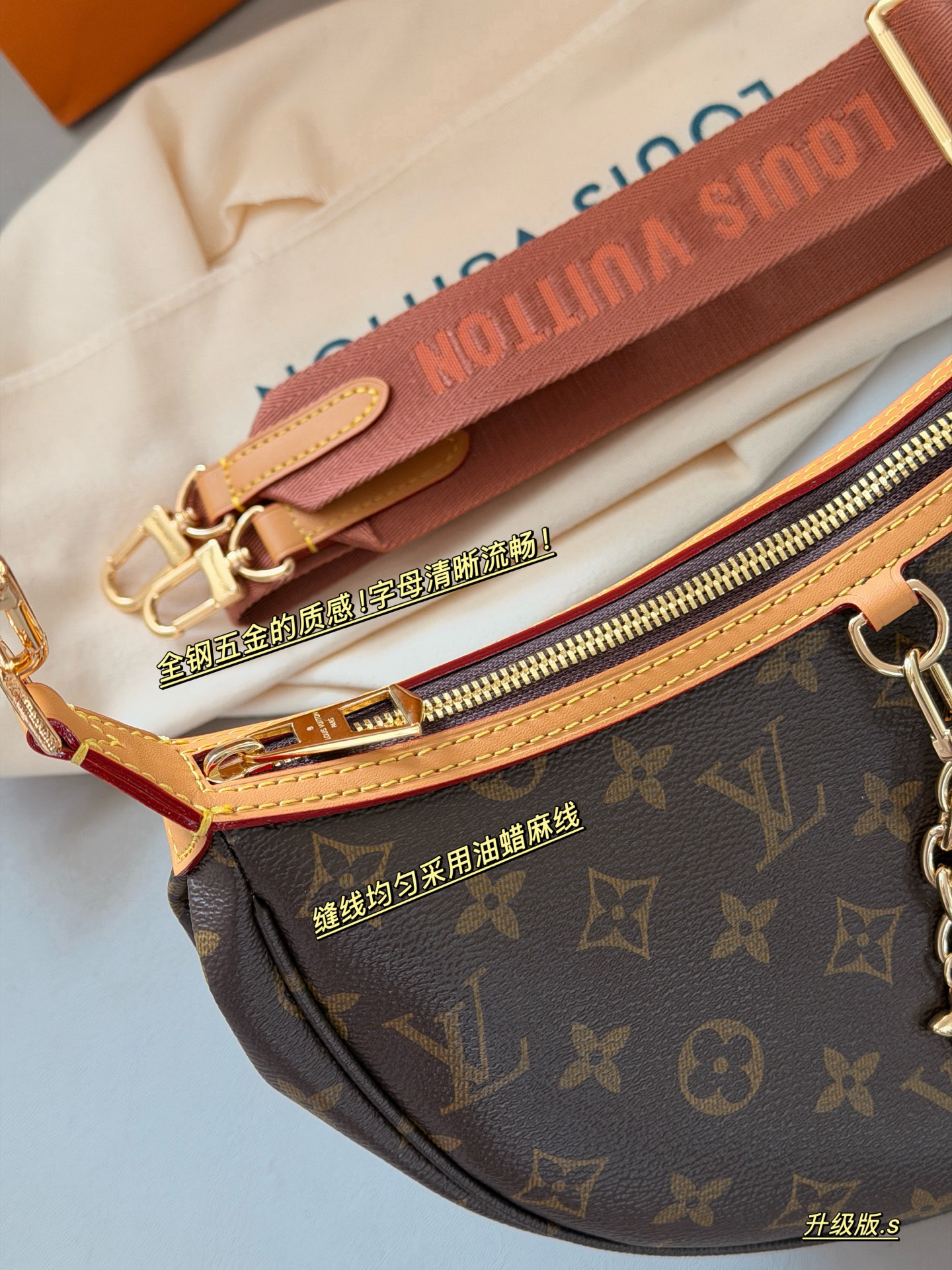 LV Loop Bag