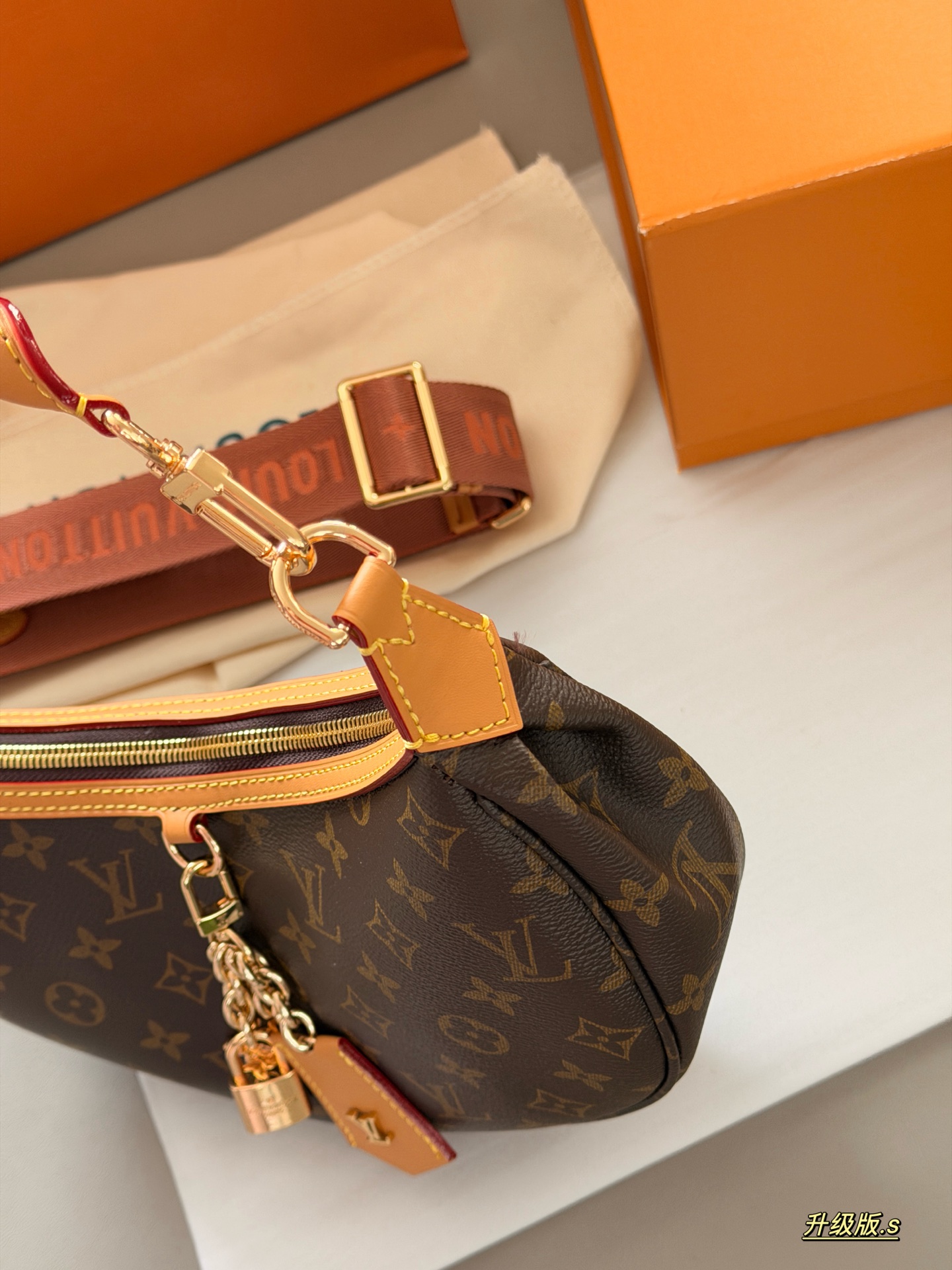 LV Loop Bag