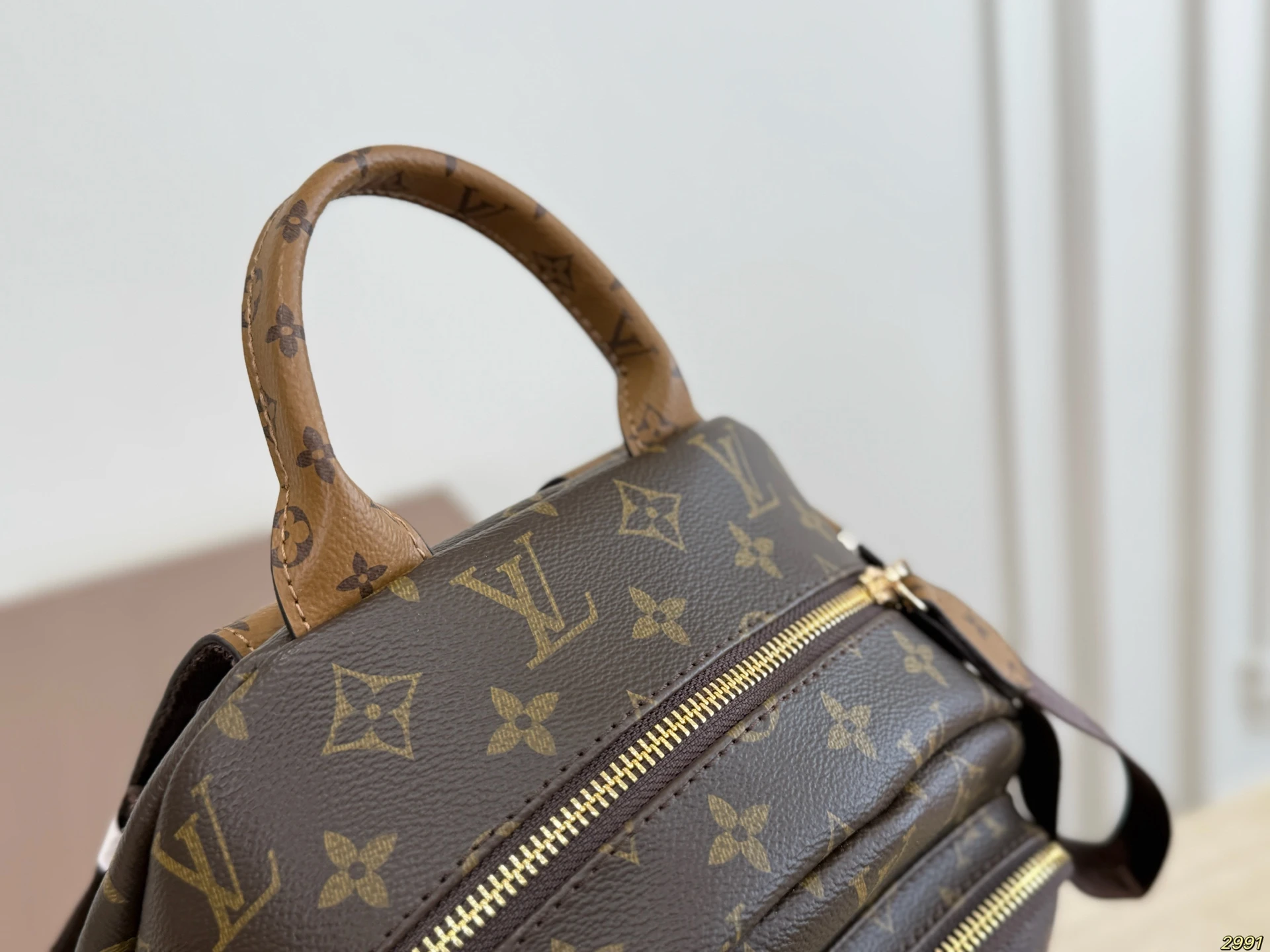 LV Backpack