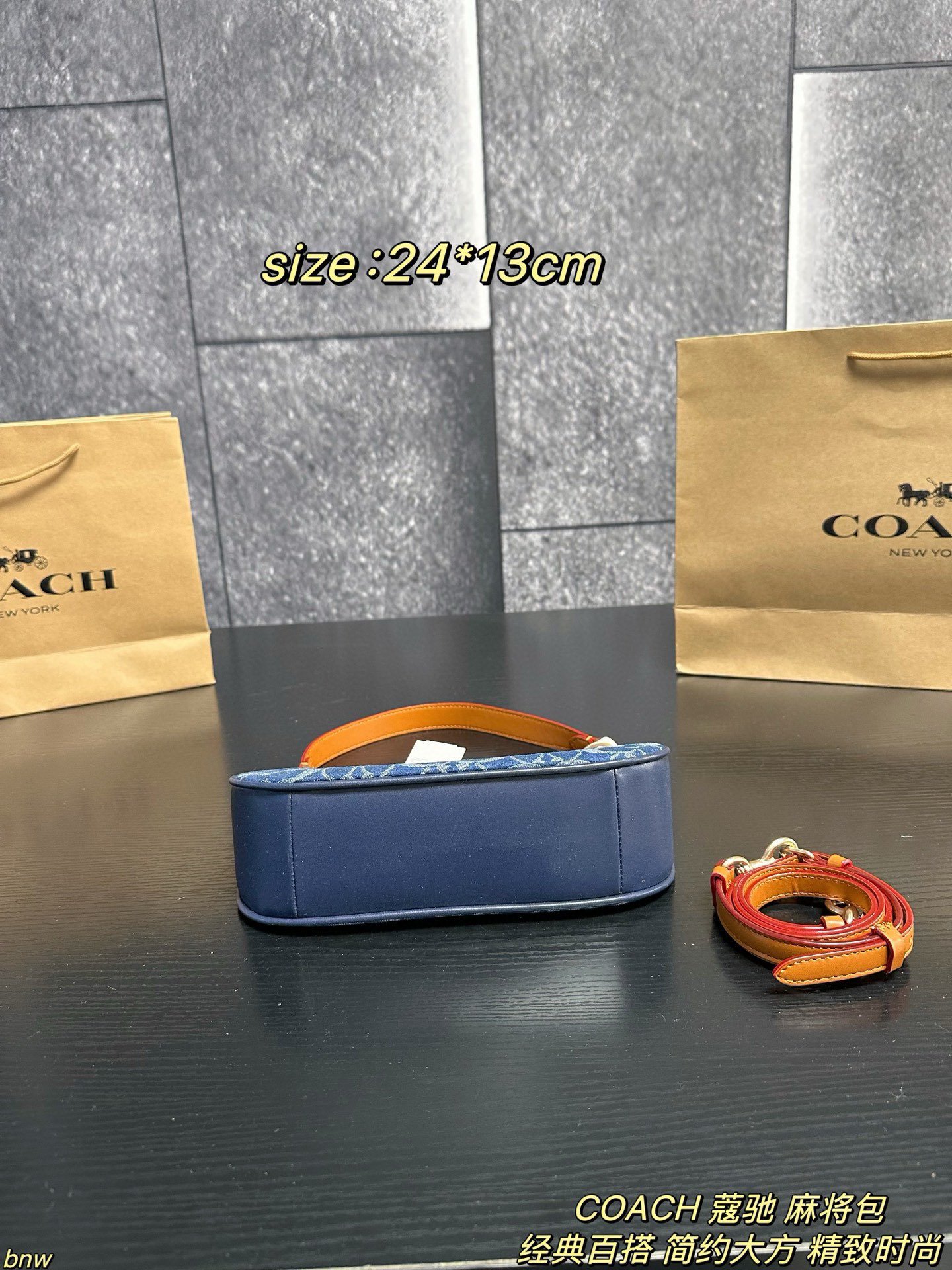 Coach Demin Teri Loop Bag