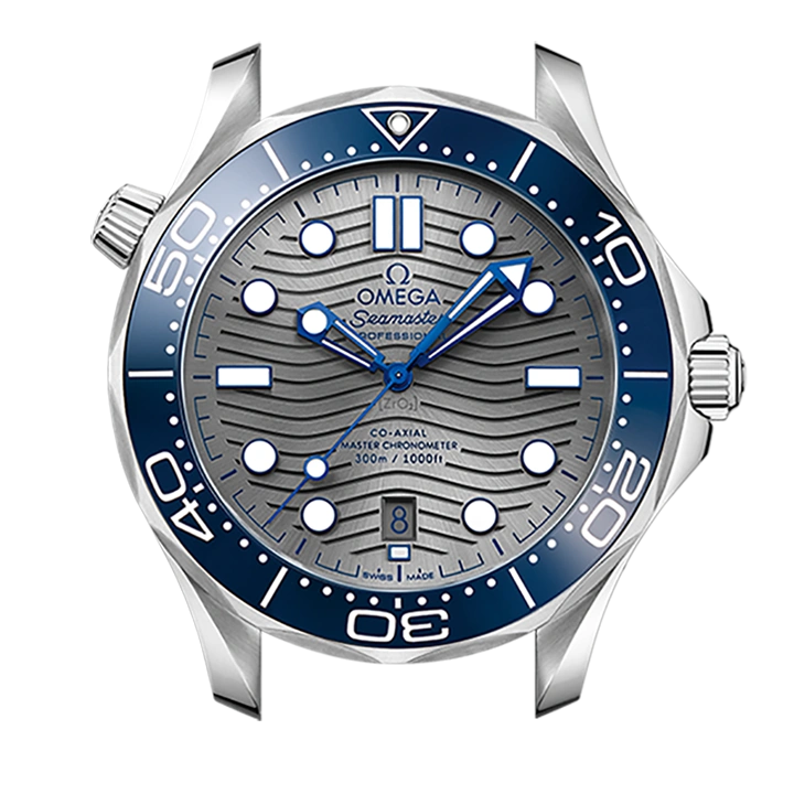 DIVER 300M CO‑AXIAL MASTER CHRONOMETER 42 MM-210.32.42.20.06.001