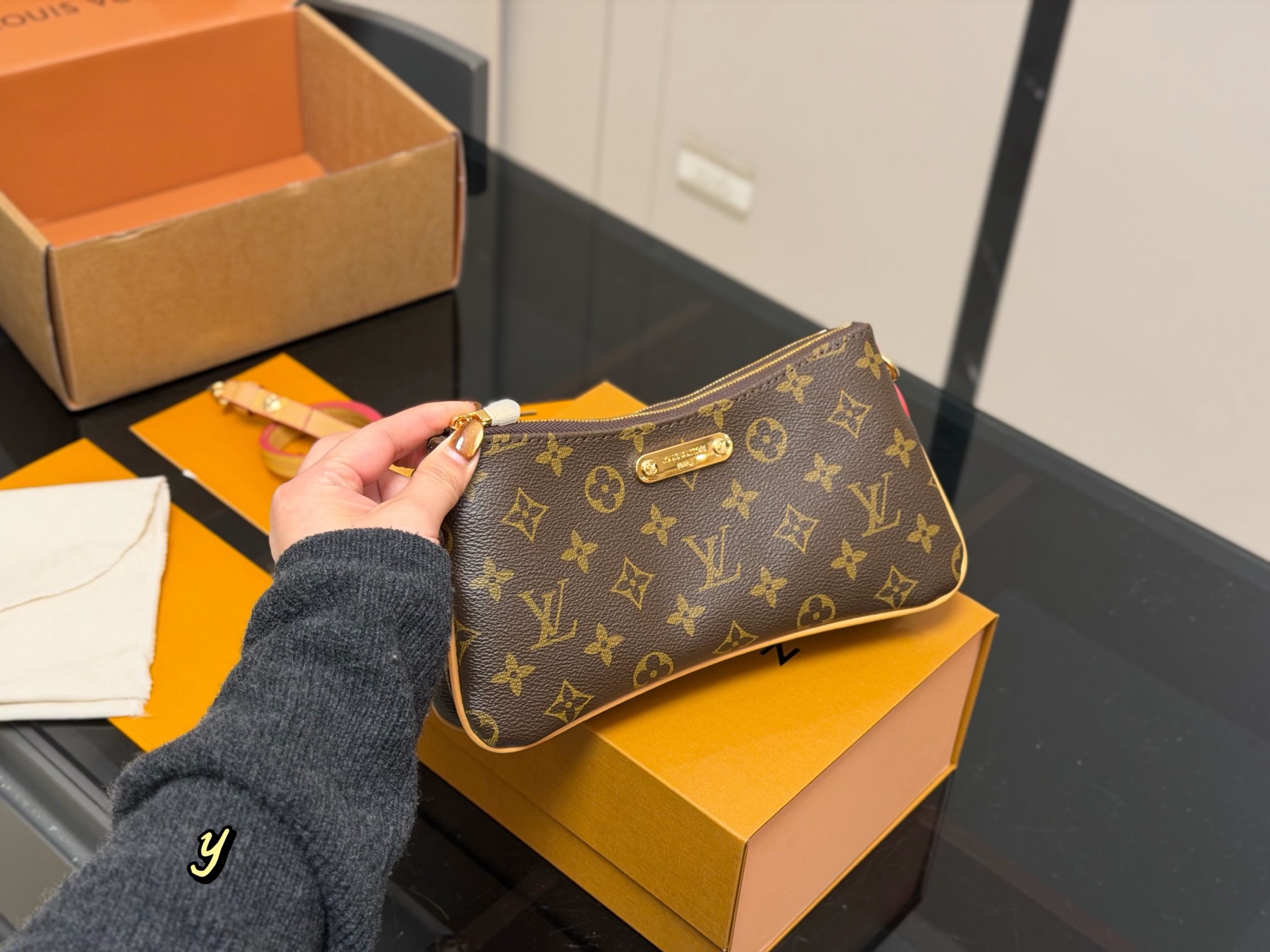 LV Hobo Bag