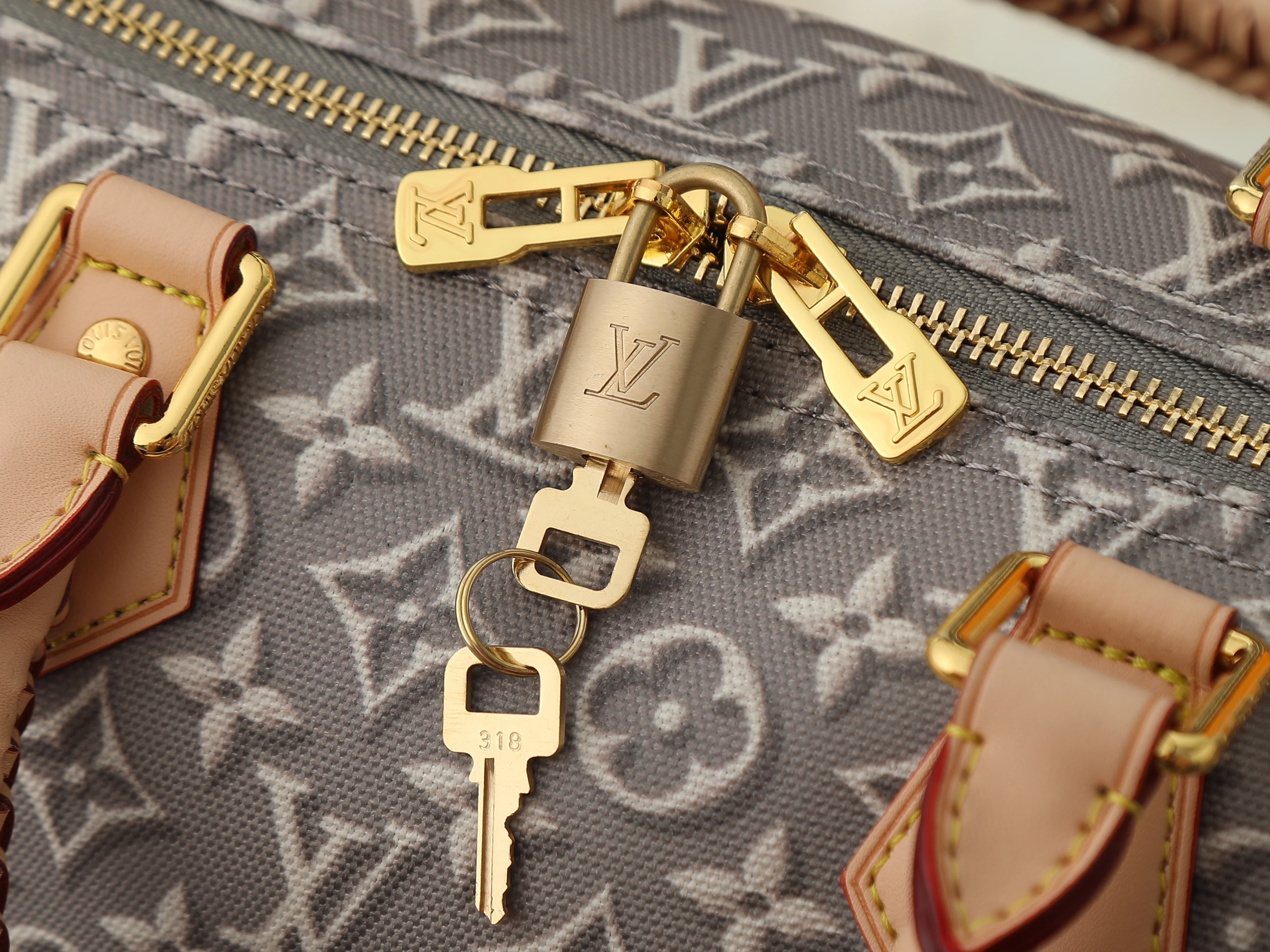 Louis Vuitton speedy Soft 30