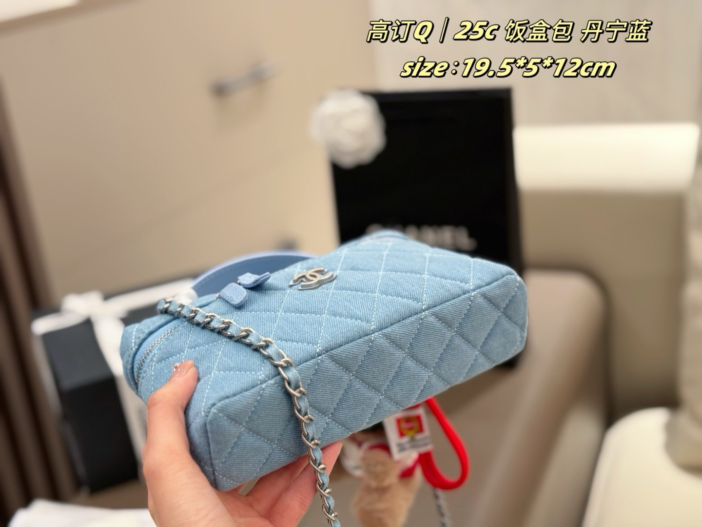 Chanel 25c LP Handbag
