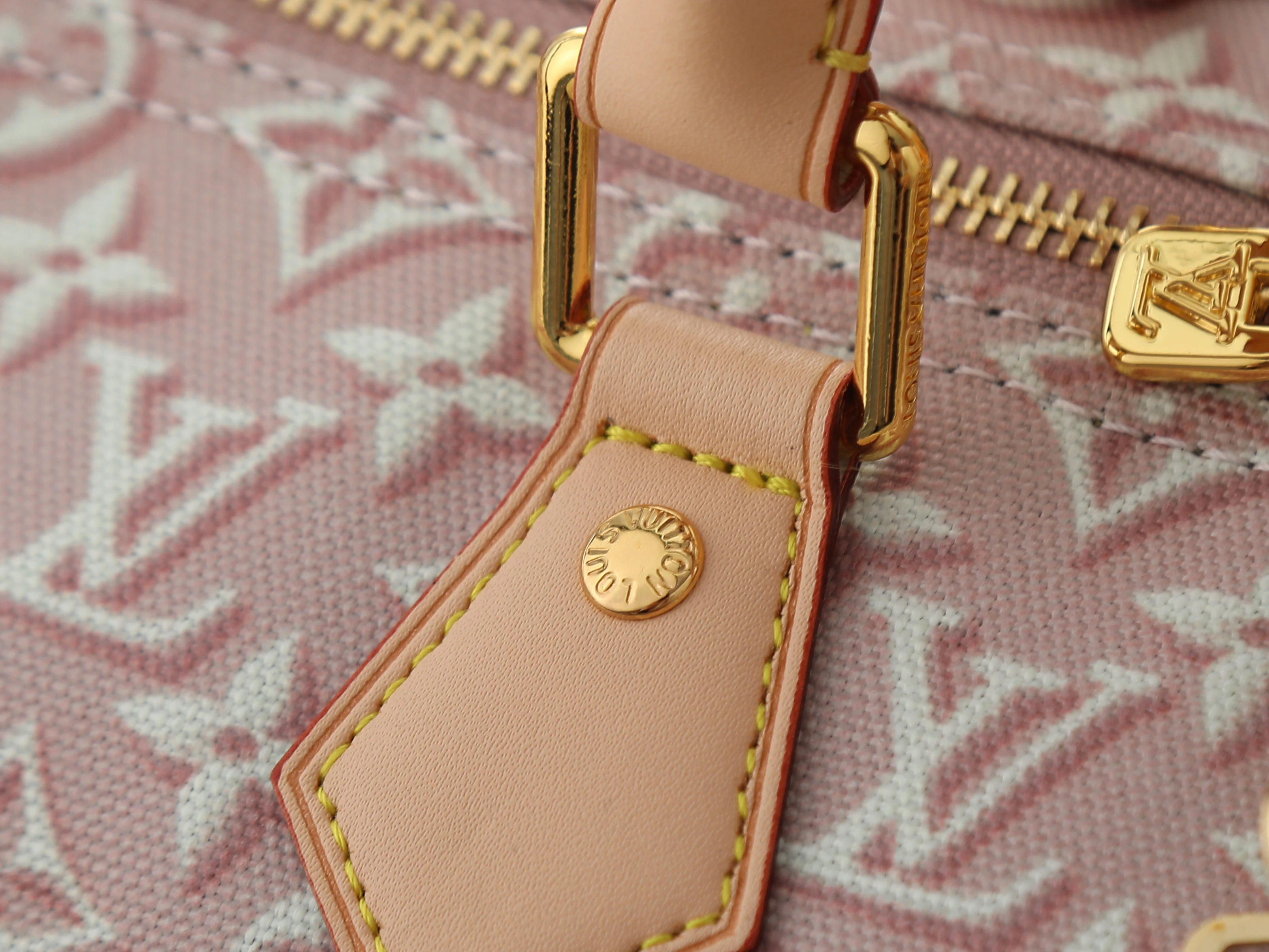 Louis Vuitton speedy Soft 30