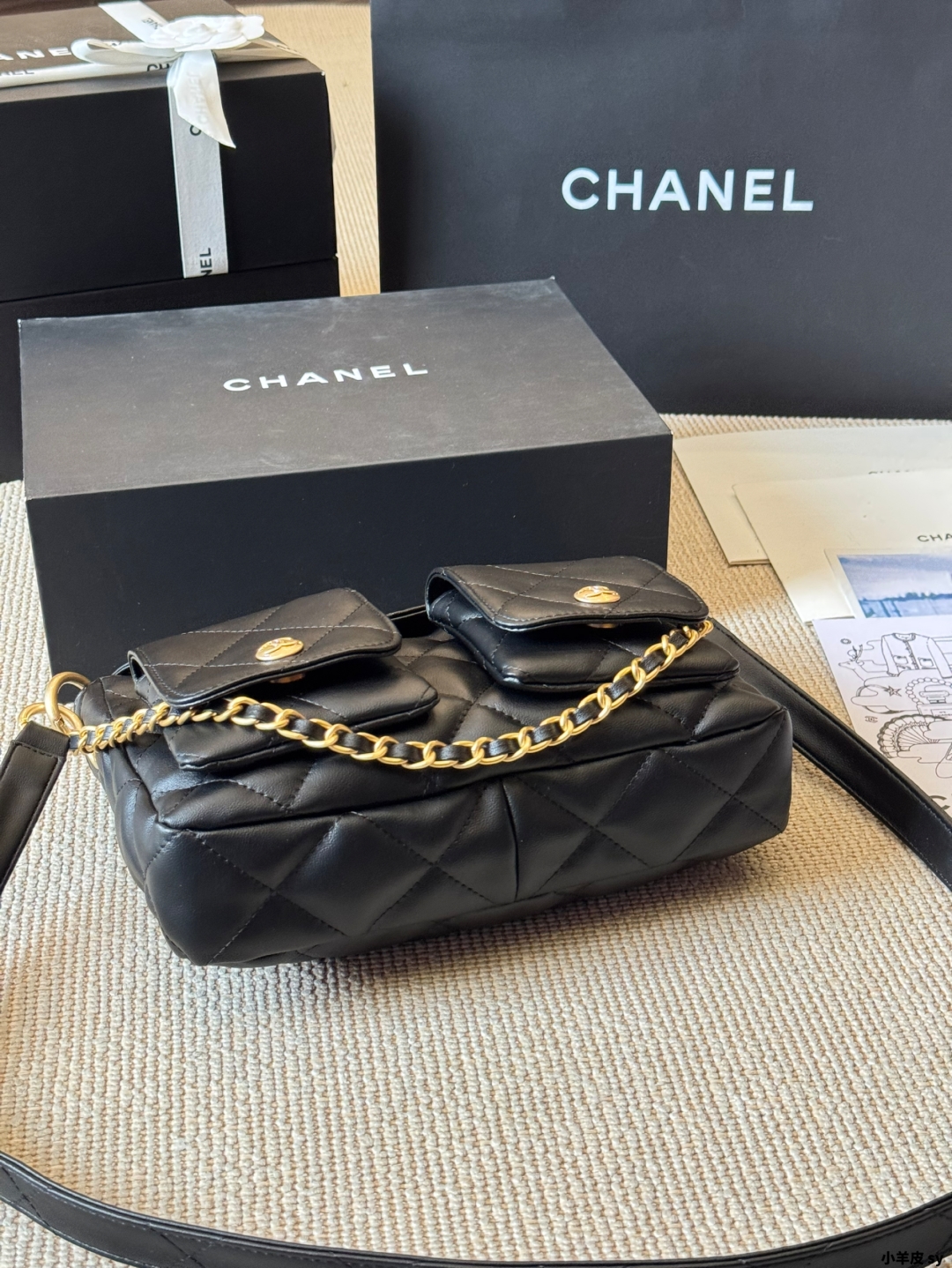 Chanel 24P Supple Twins Handbag
