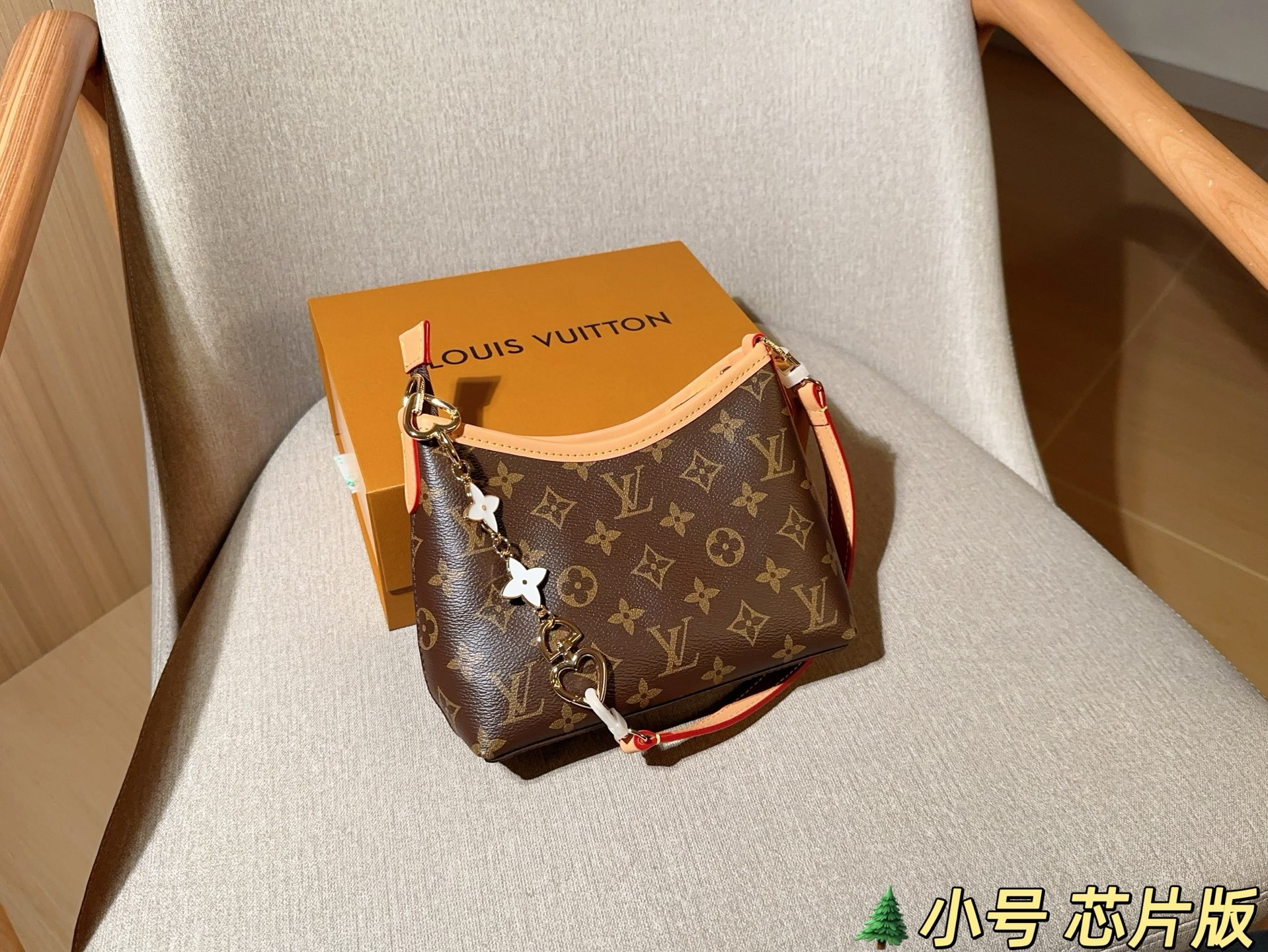 LV Hobo Bag