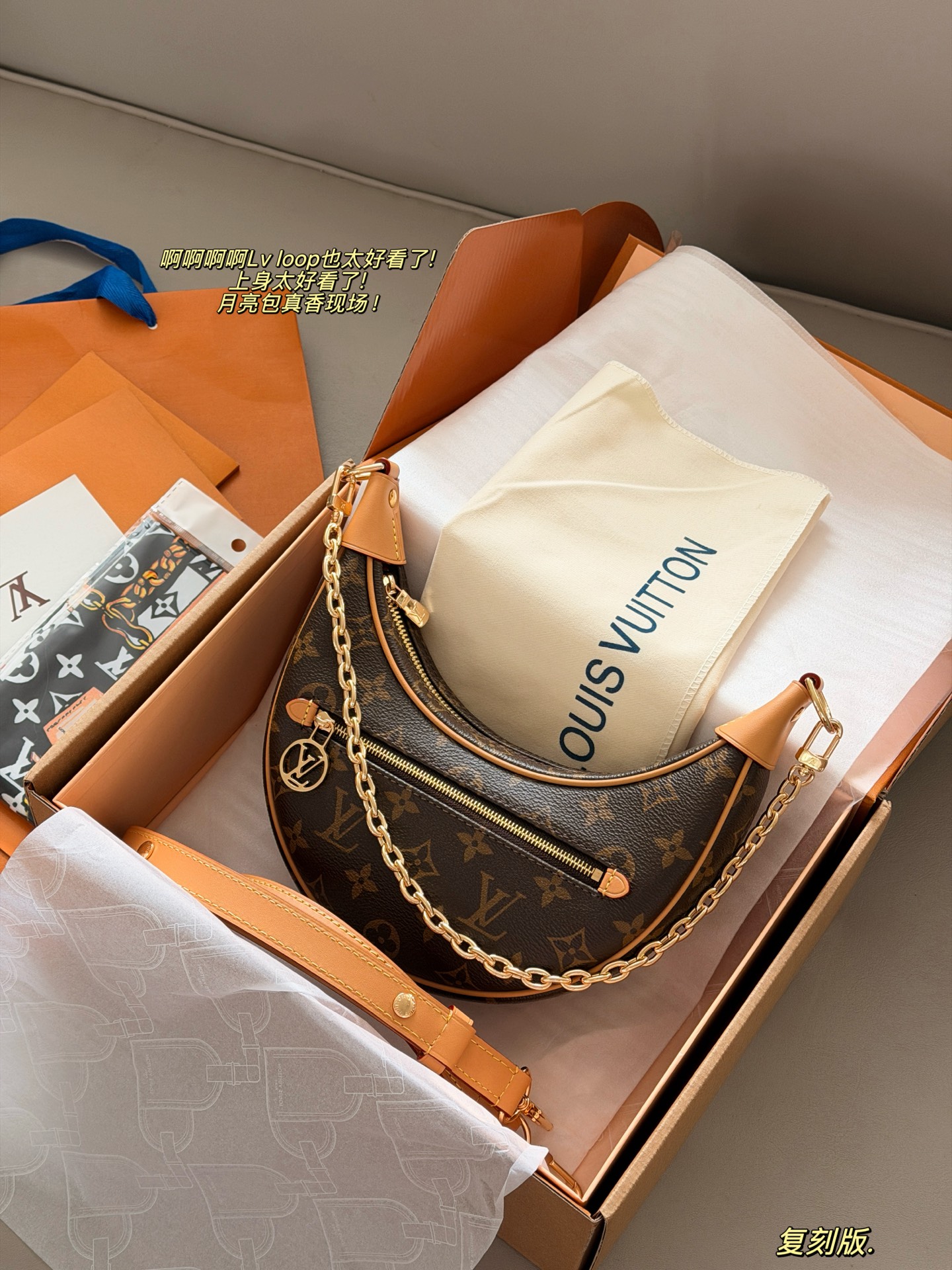 LV Loop Bag