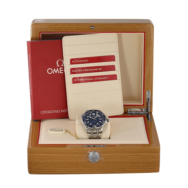 DIVER 300M CO‑AXIAL MASTER CHRONOMETER 42 MM-210.30.42.20.03.001