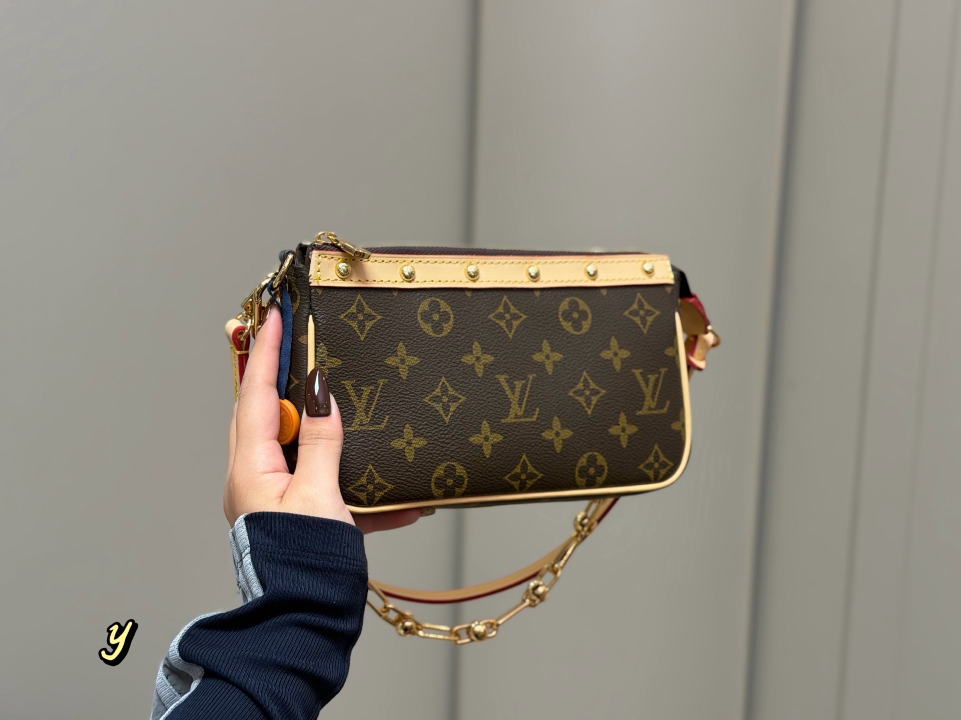 LV Hobo Bag
