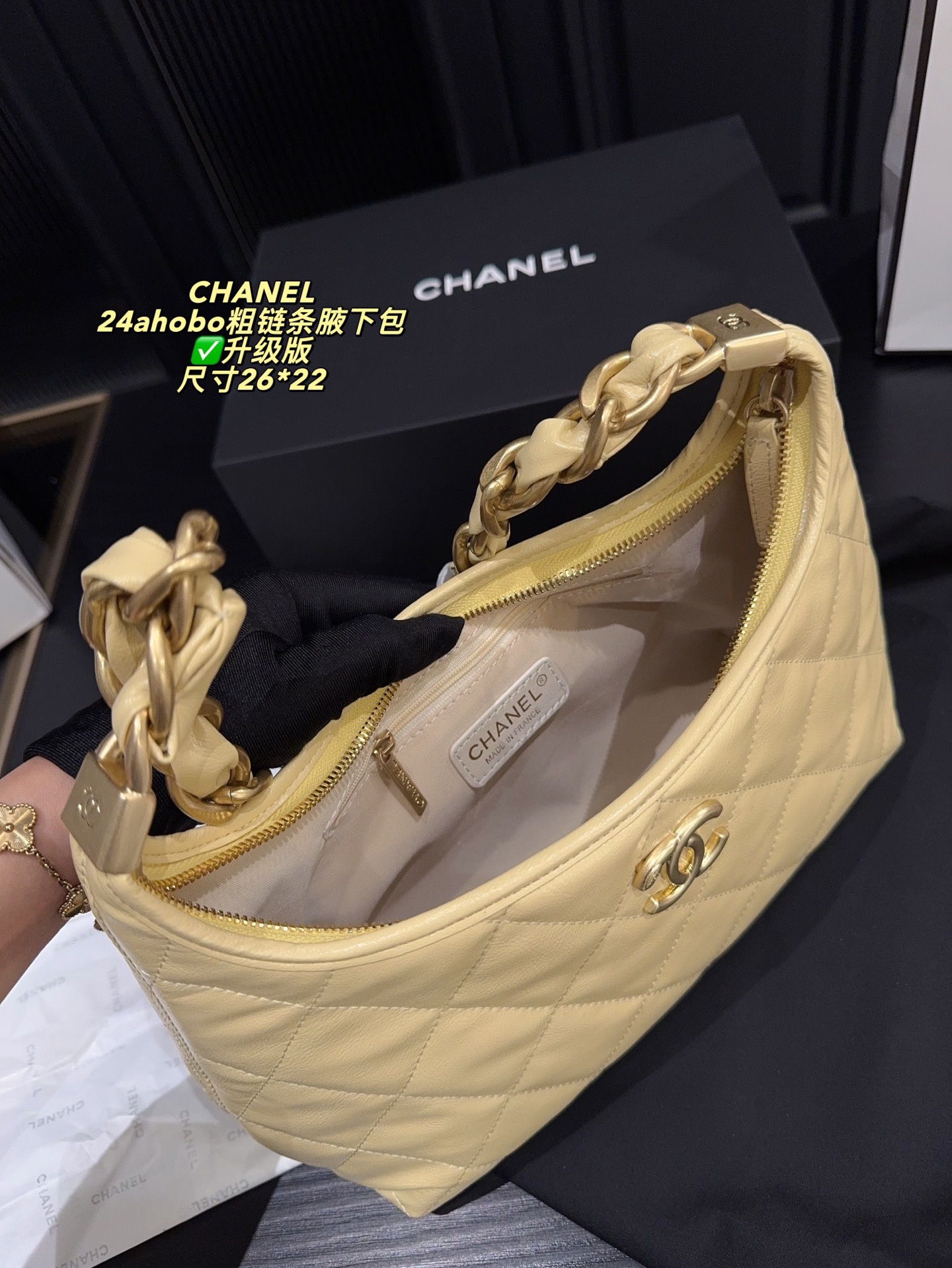 Chanel 24A Hobo Handbag