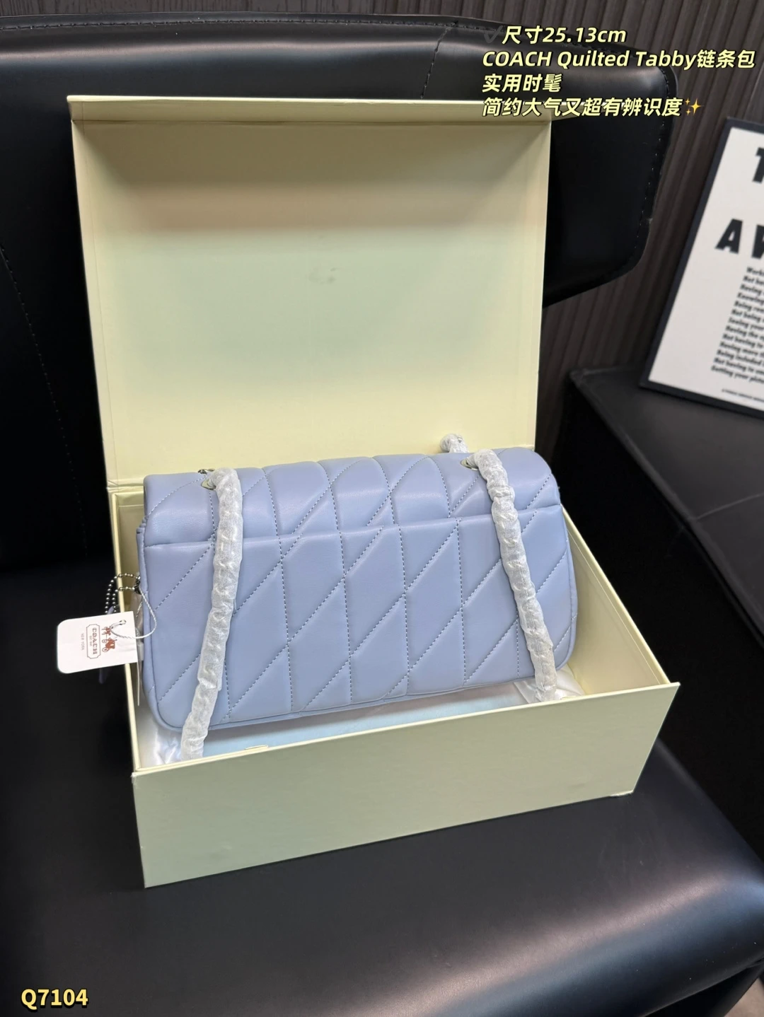 COACH Quilted Tabby 20