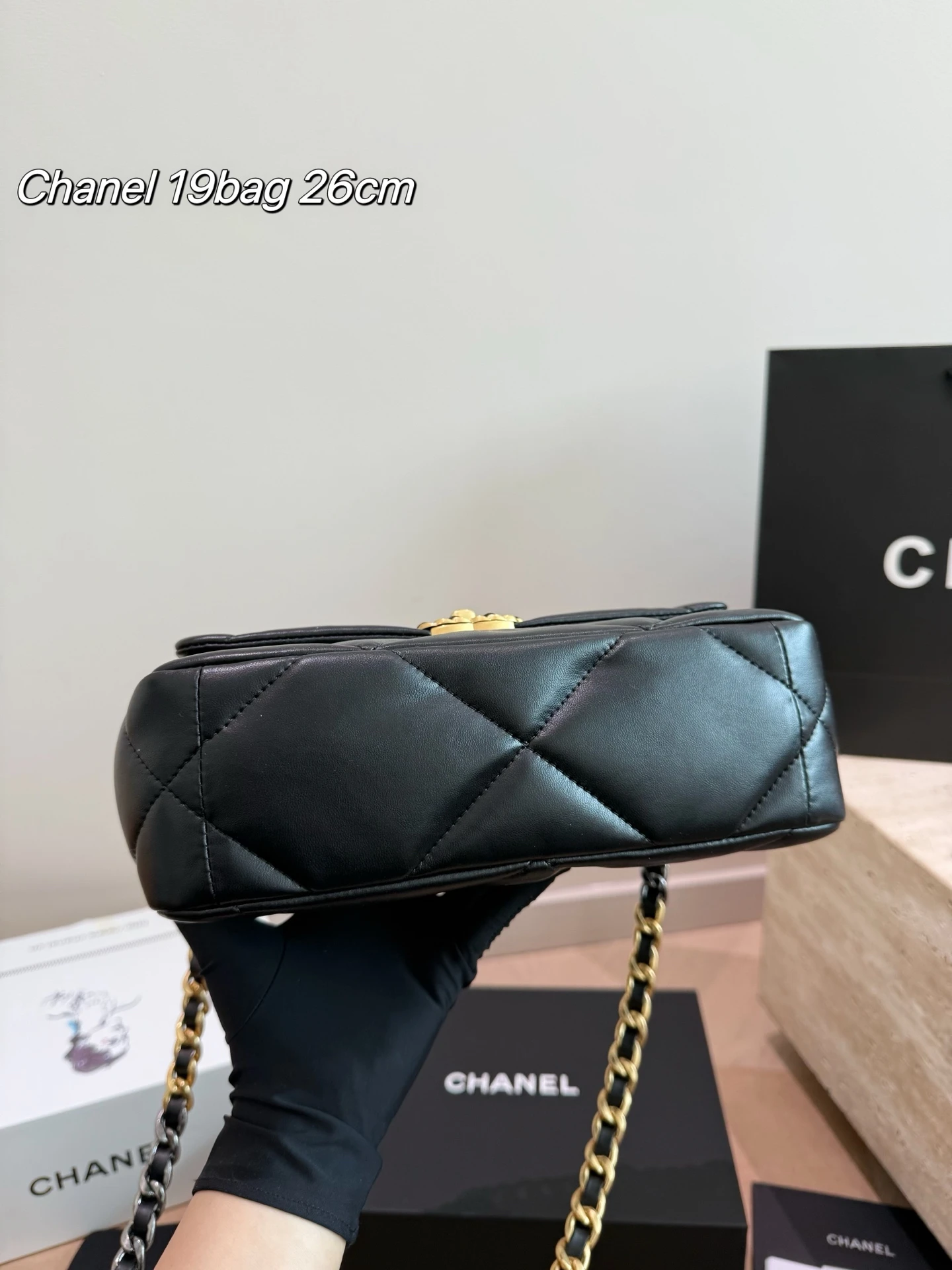 Chanel 19bag