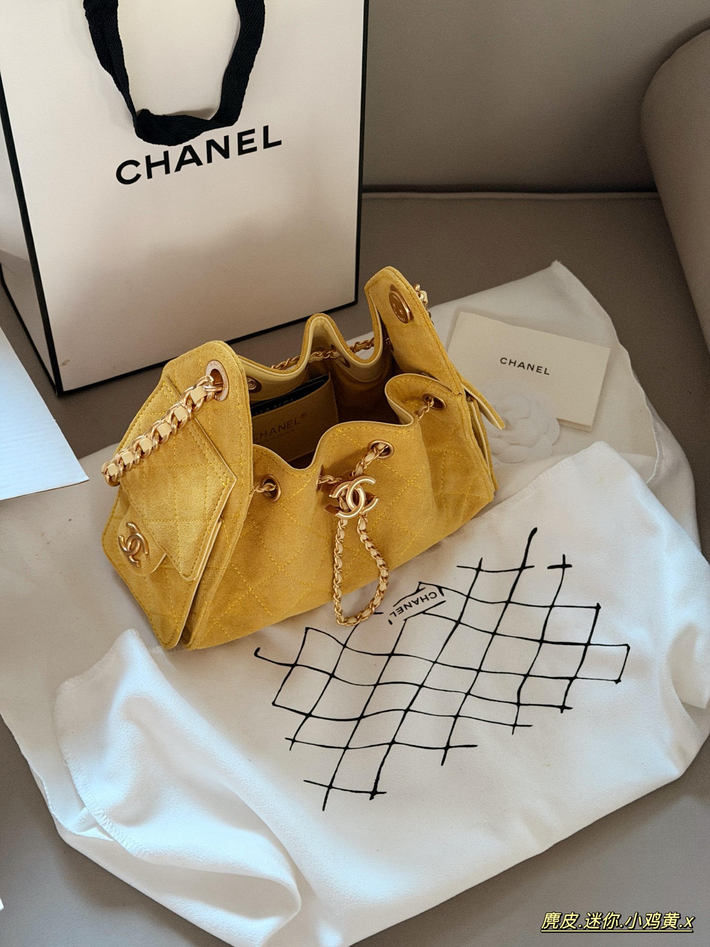 Chanel 25c Hobo Bag