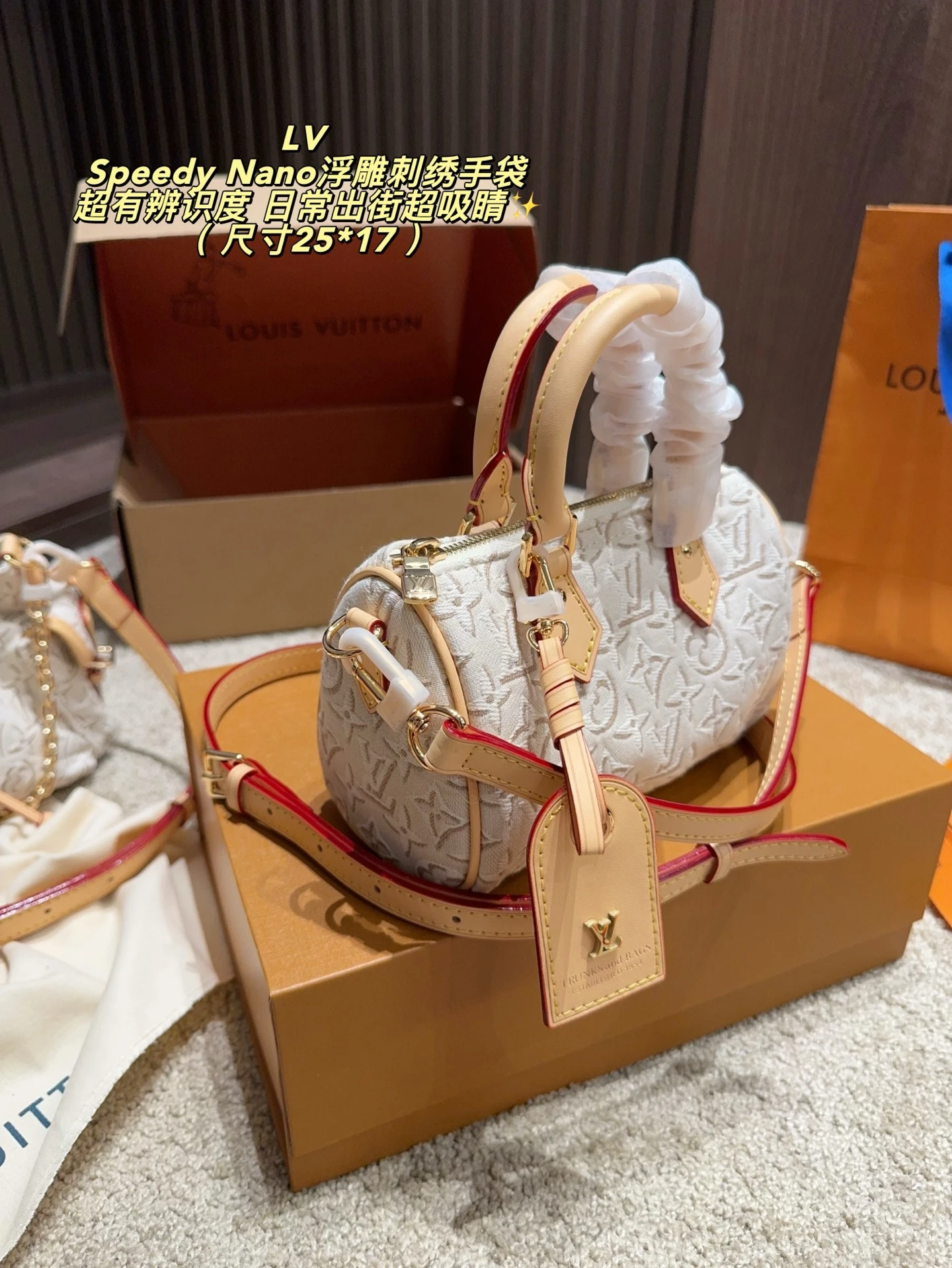 Louis Vuitton Speedy Nano