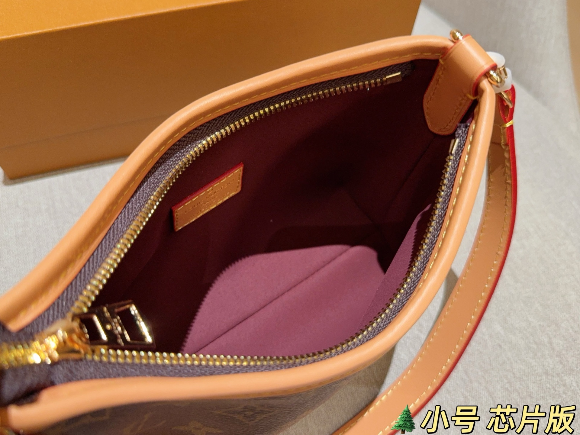 LV Hobo Bag