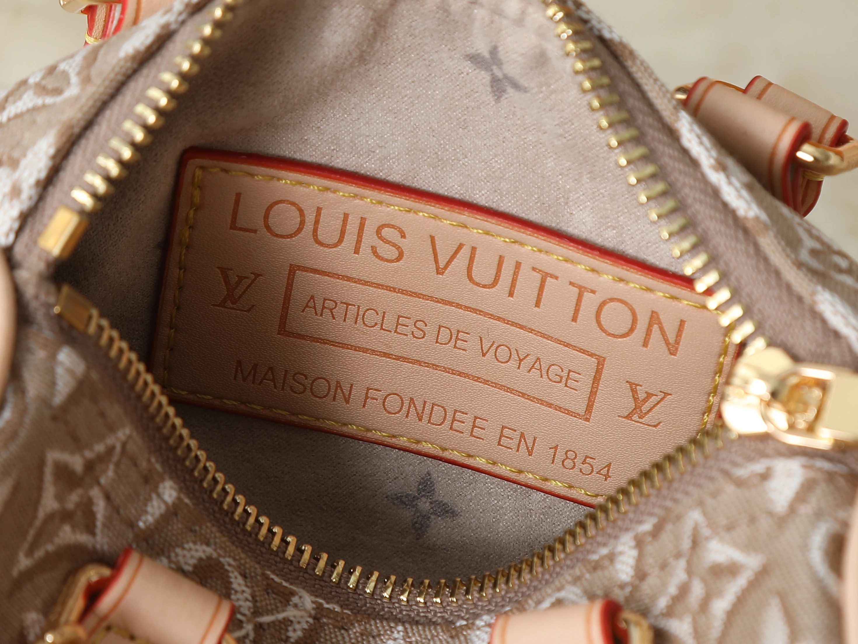 Louis Vuitton Nano Speedy