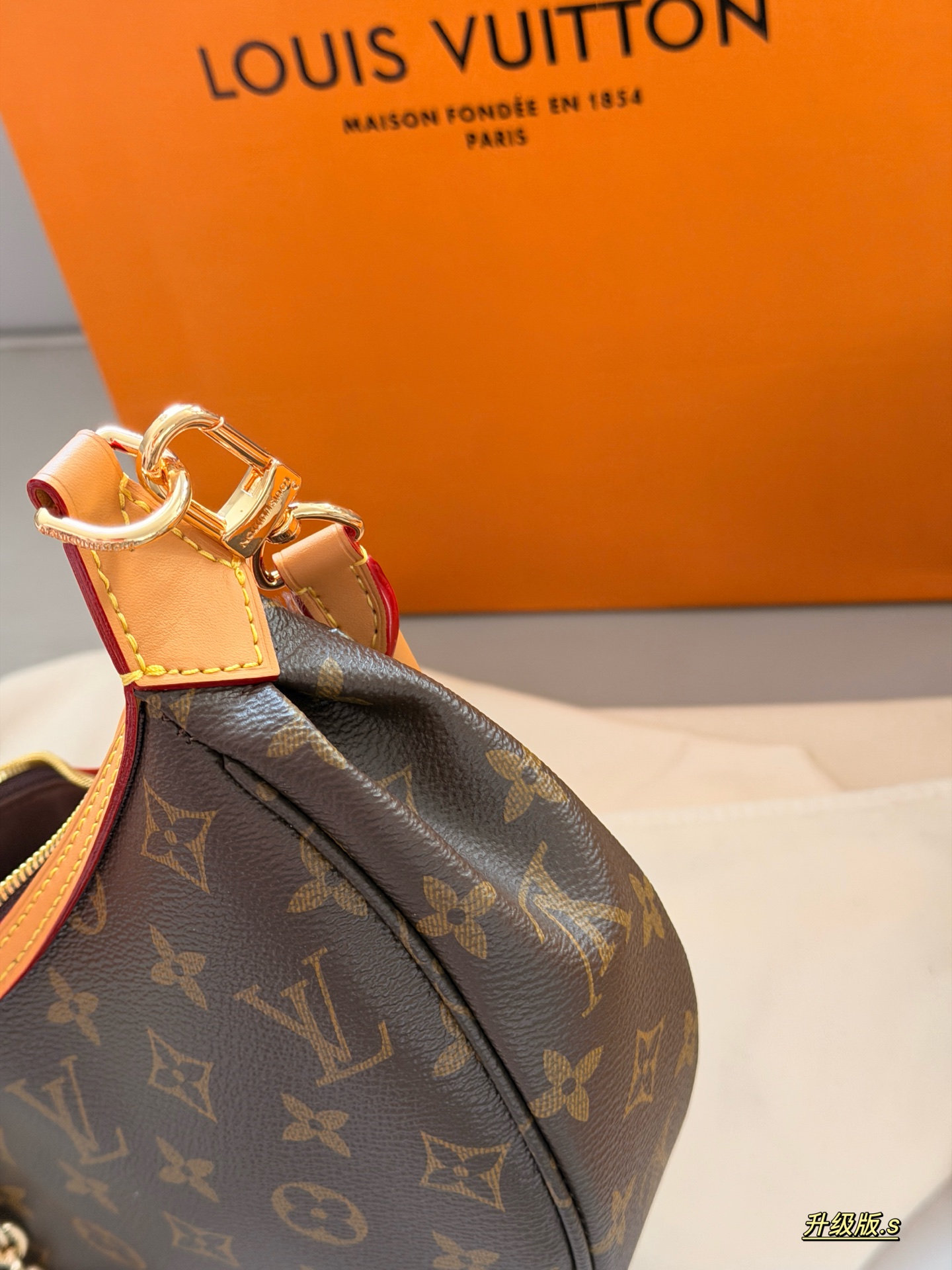 LV Loop Bag
