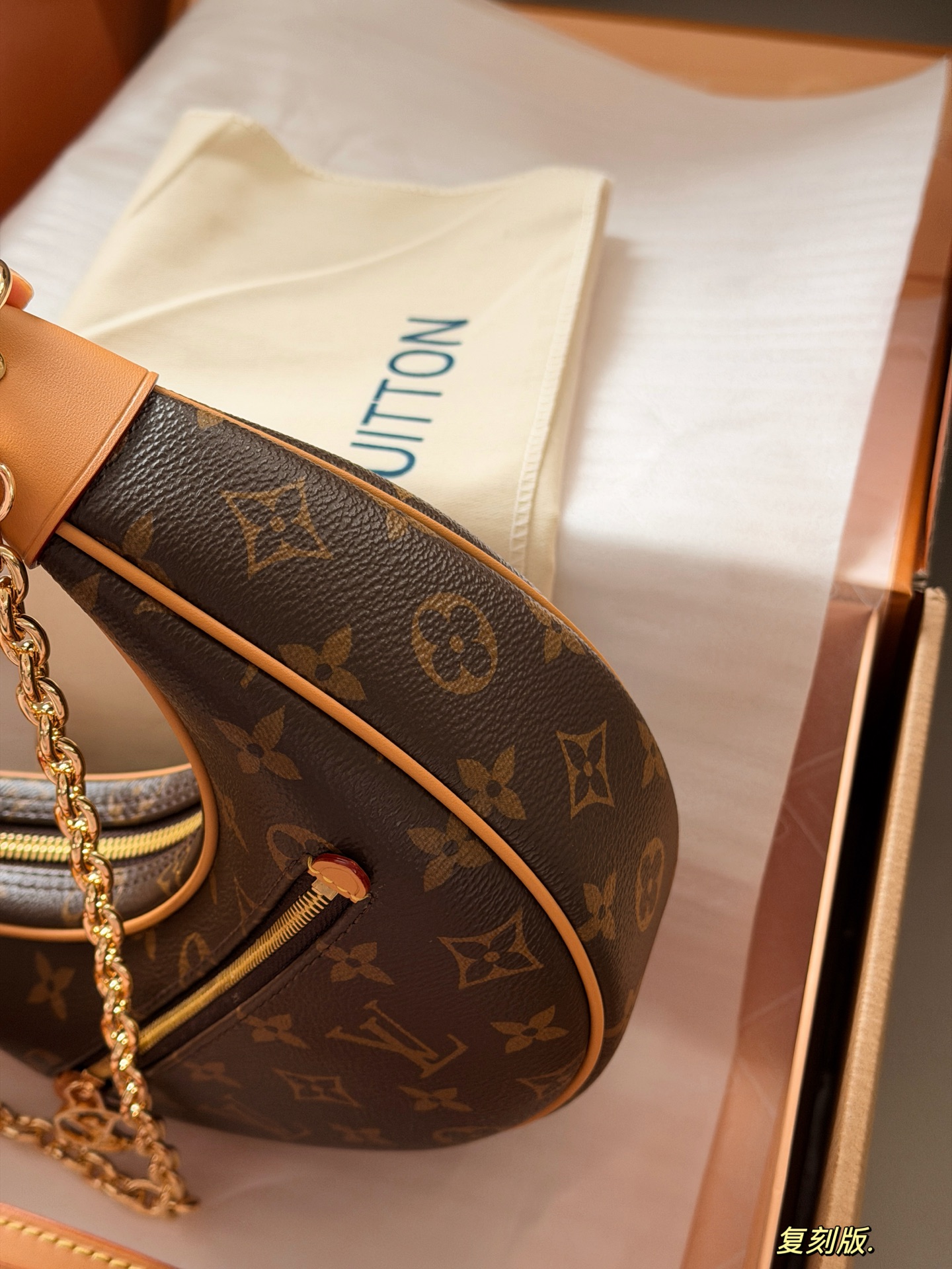 LV Loop Bag