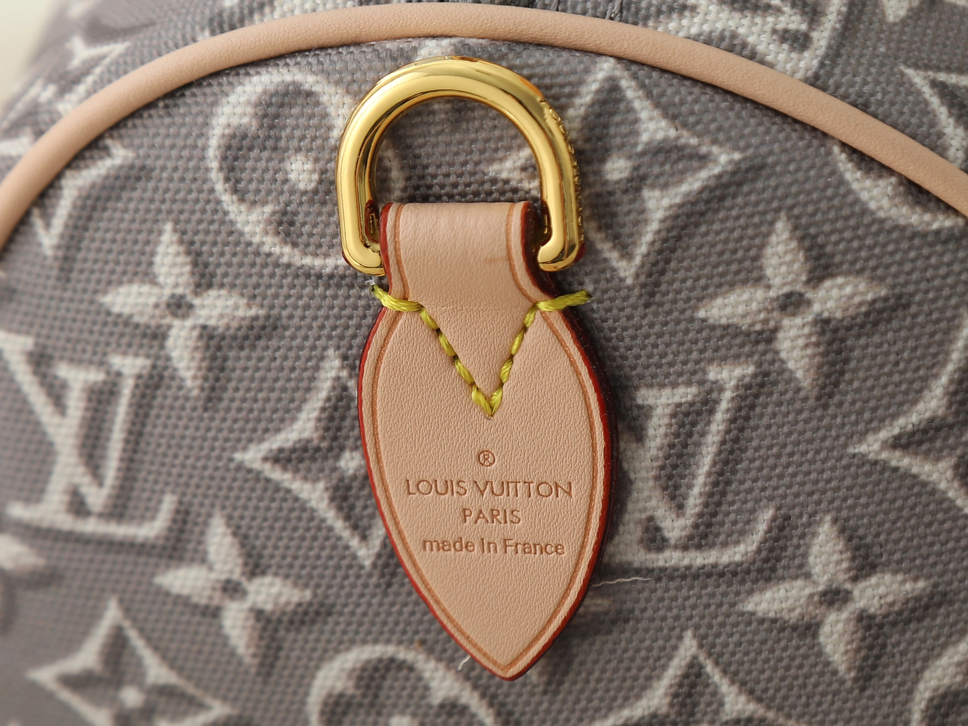 Louis Vuitton speedy Soft 30