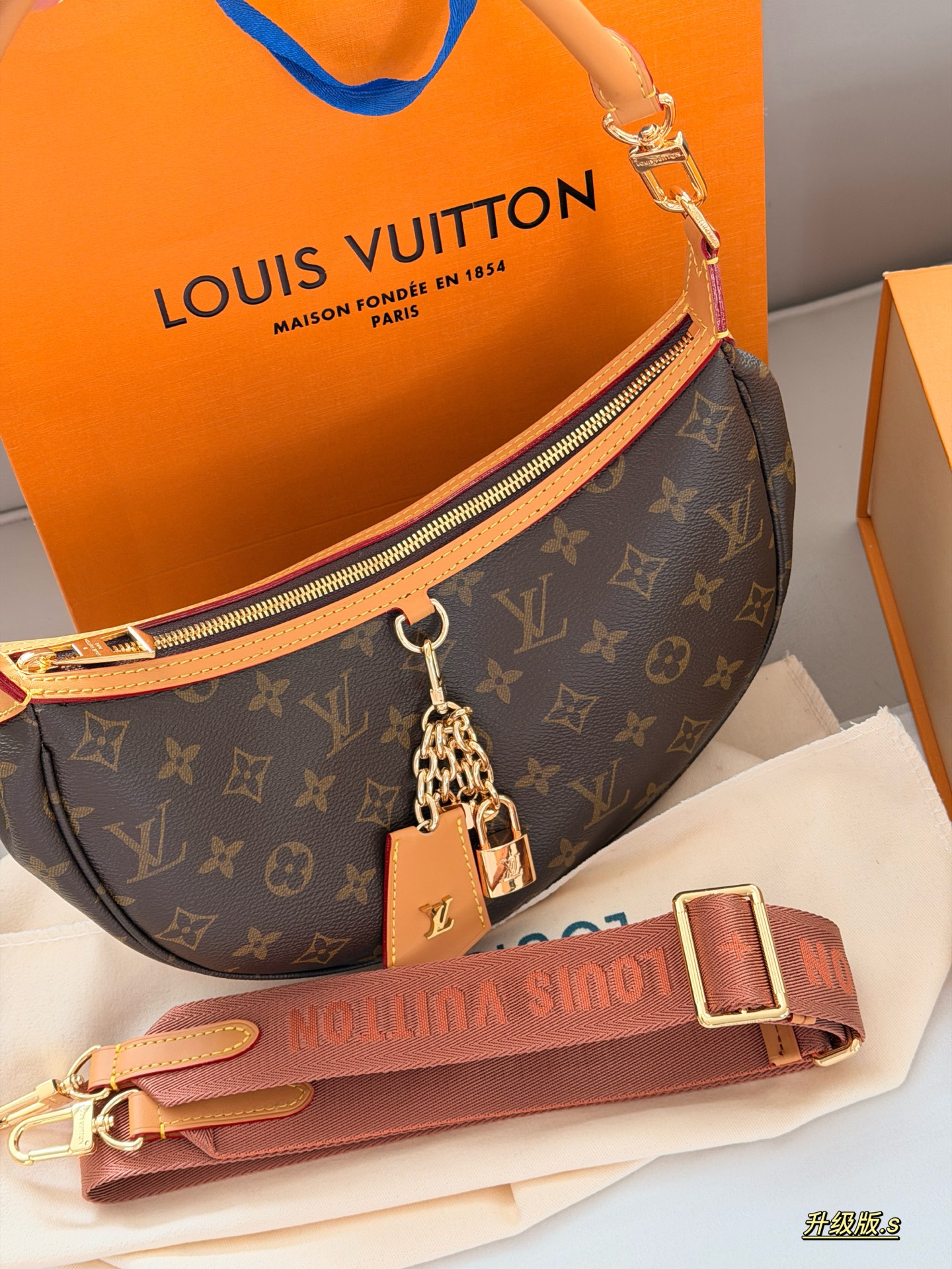 LV Loop Bag