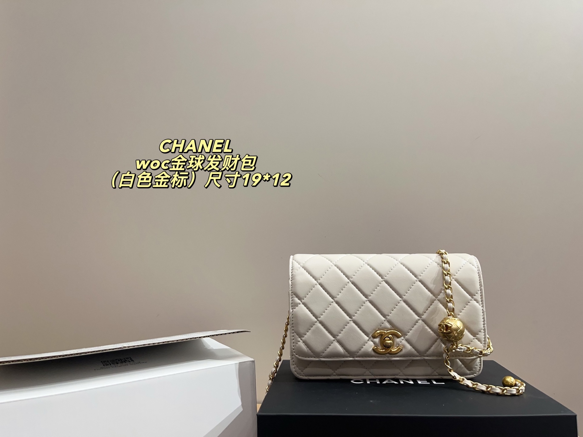 Chanel woc Crossbody Bag