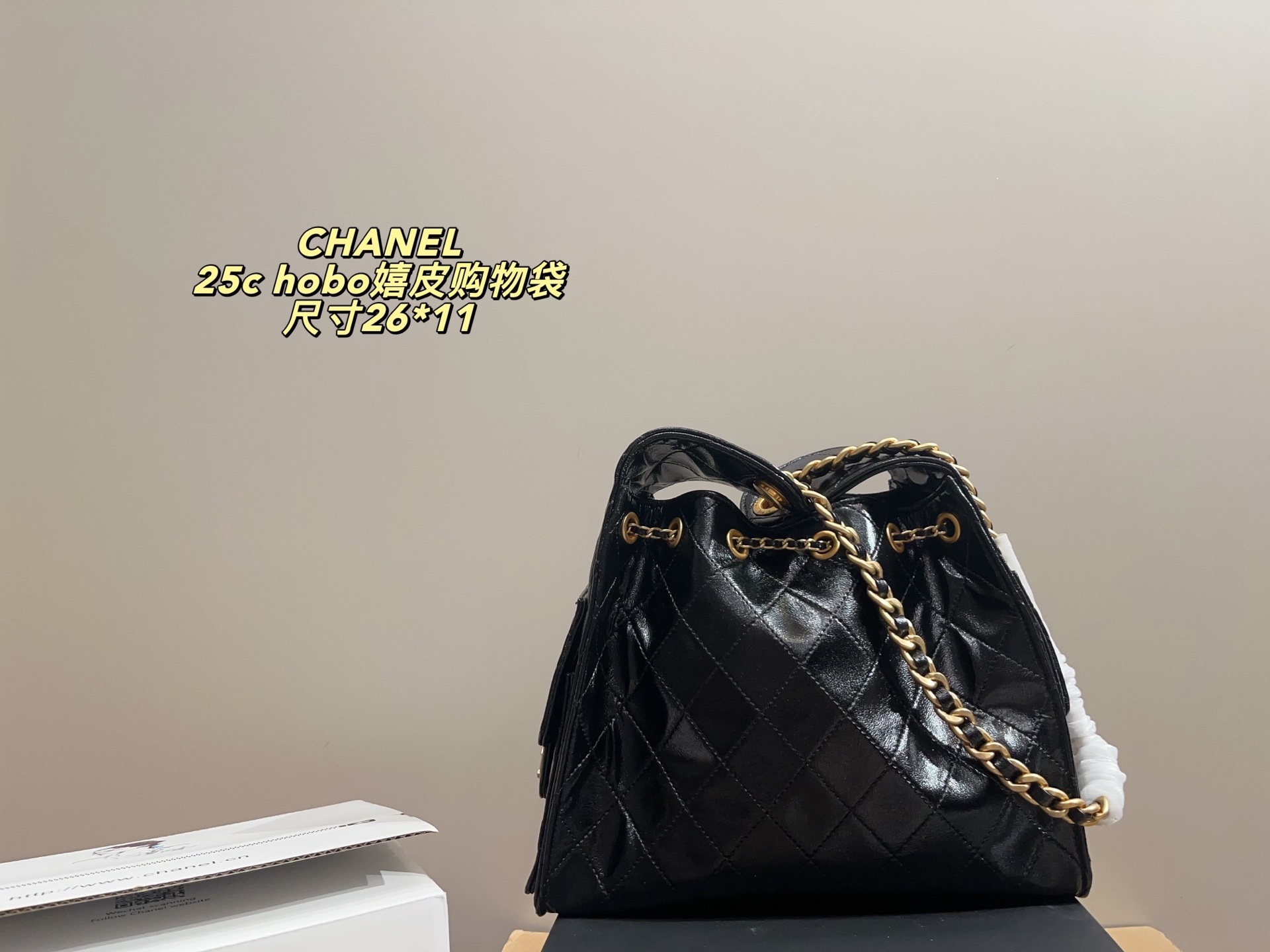 Chanel Chanel hobo25c Handbag