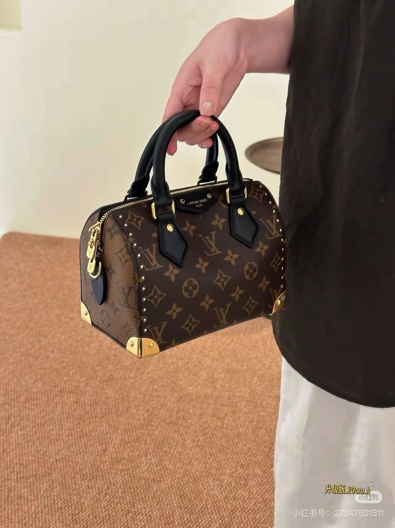 Louis Vuitton Speedy trunk20