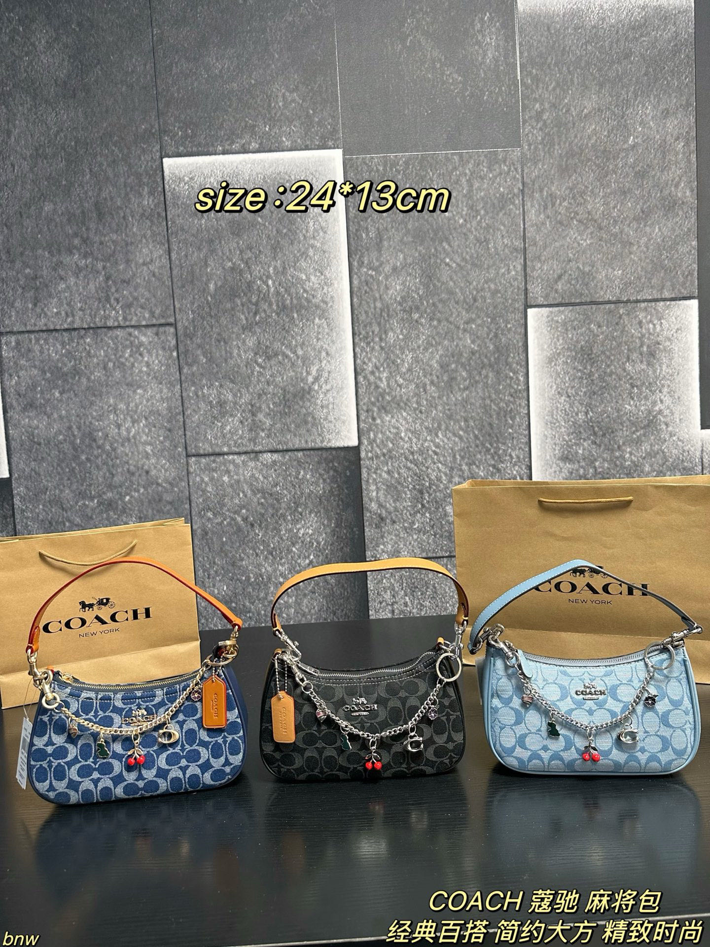 Coach Demin Teri Loop Bag