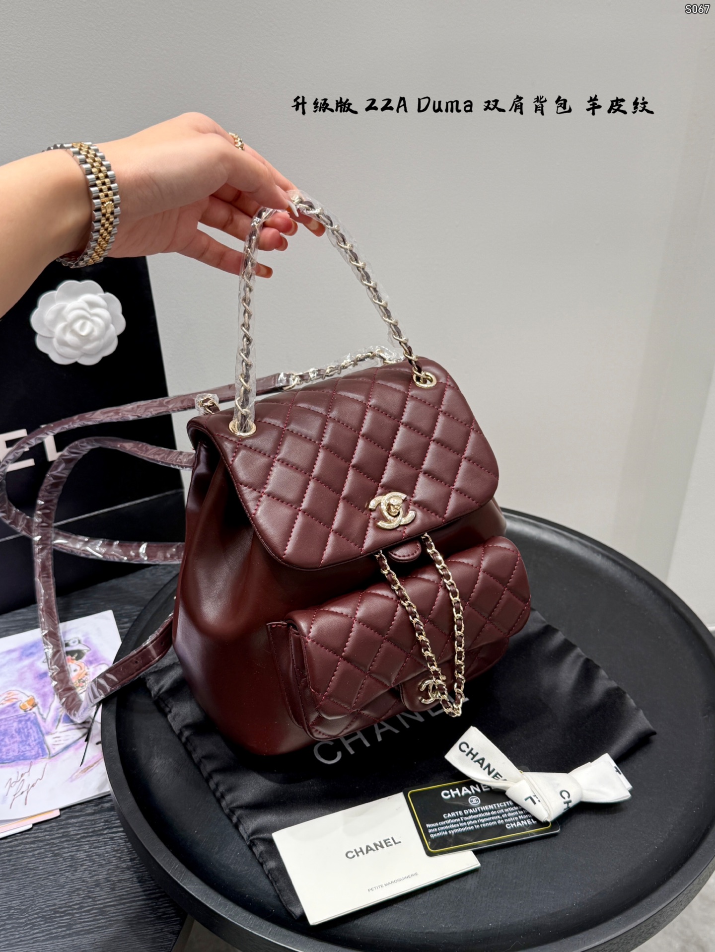 Chanel 22A Duma Backpack