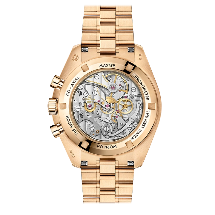 MOONWATCH PROFESSIONAL CO‑AXIAL MASTER CHRONOMETER CHRONOGRAPH 42 MM-310.60.42.50.10.001