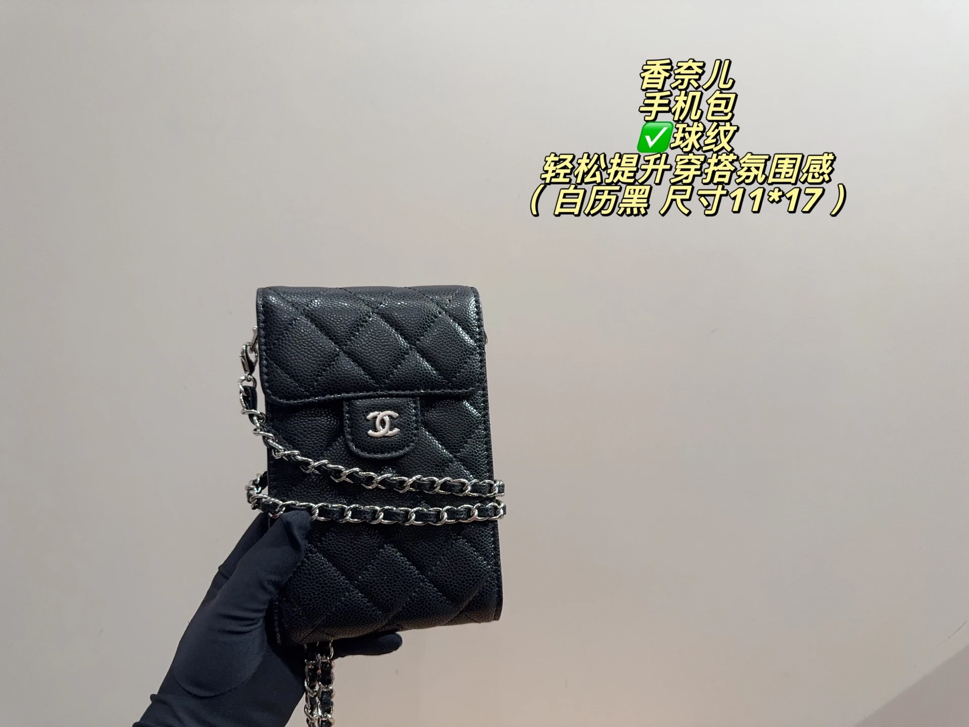 Chanel Quilted Phone Bag