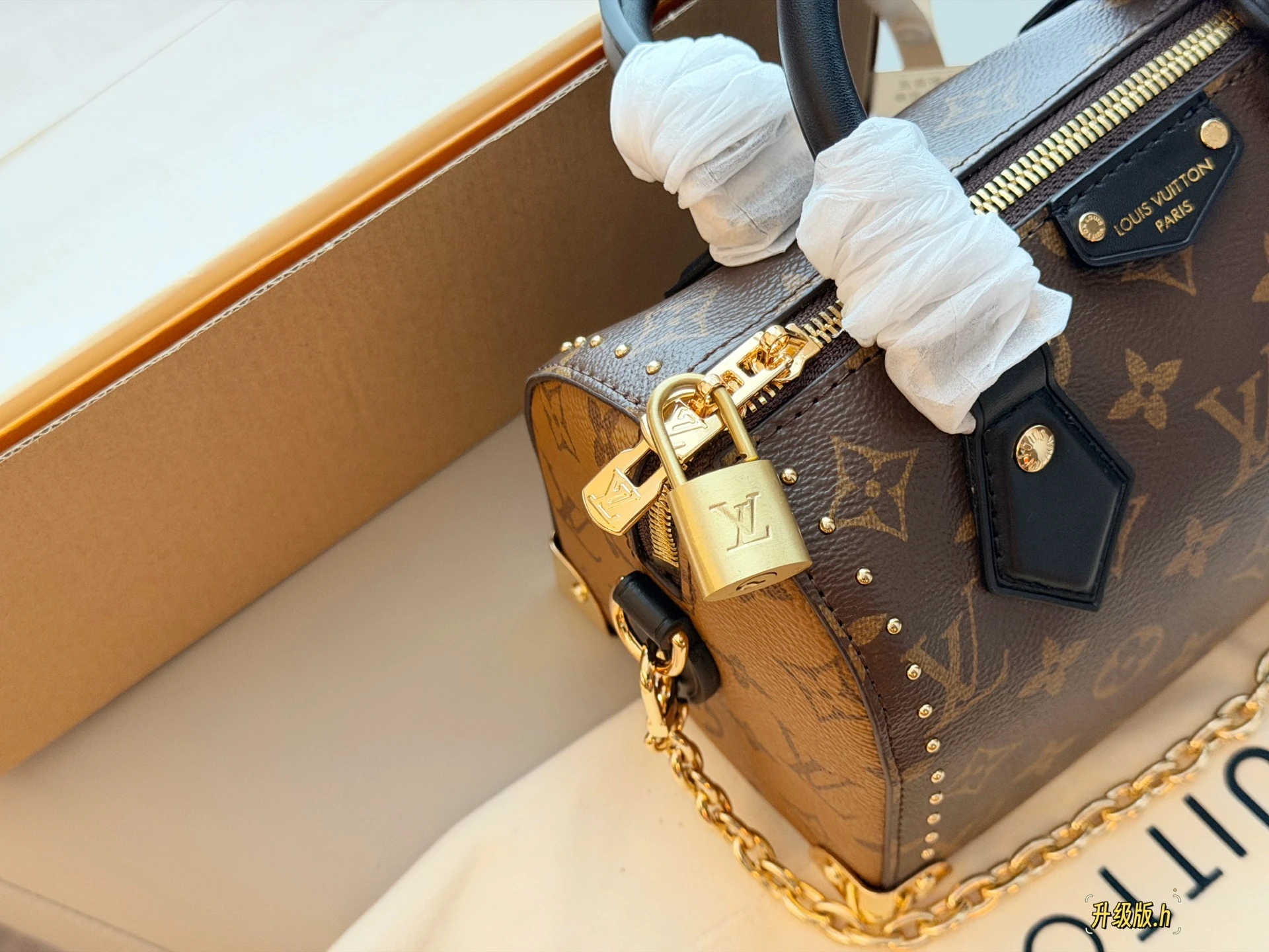 Louis Vuitton Speedy trunk20