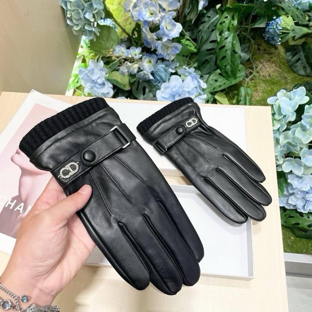Dior Gloves